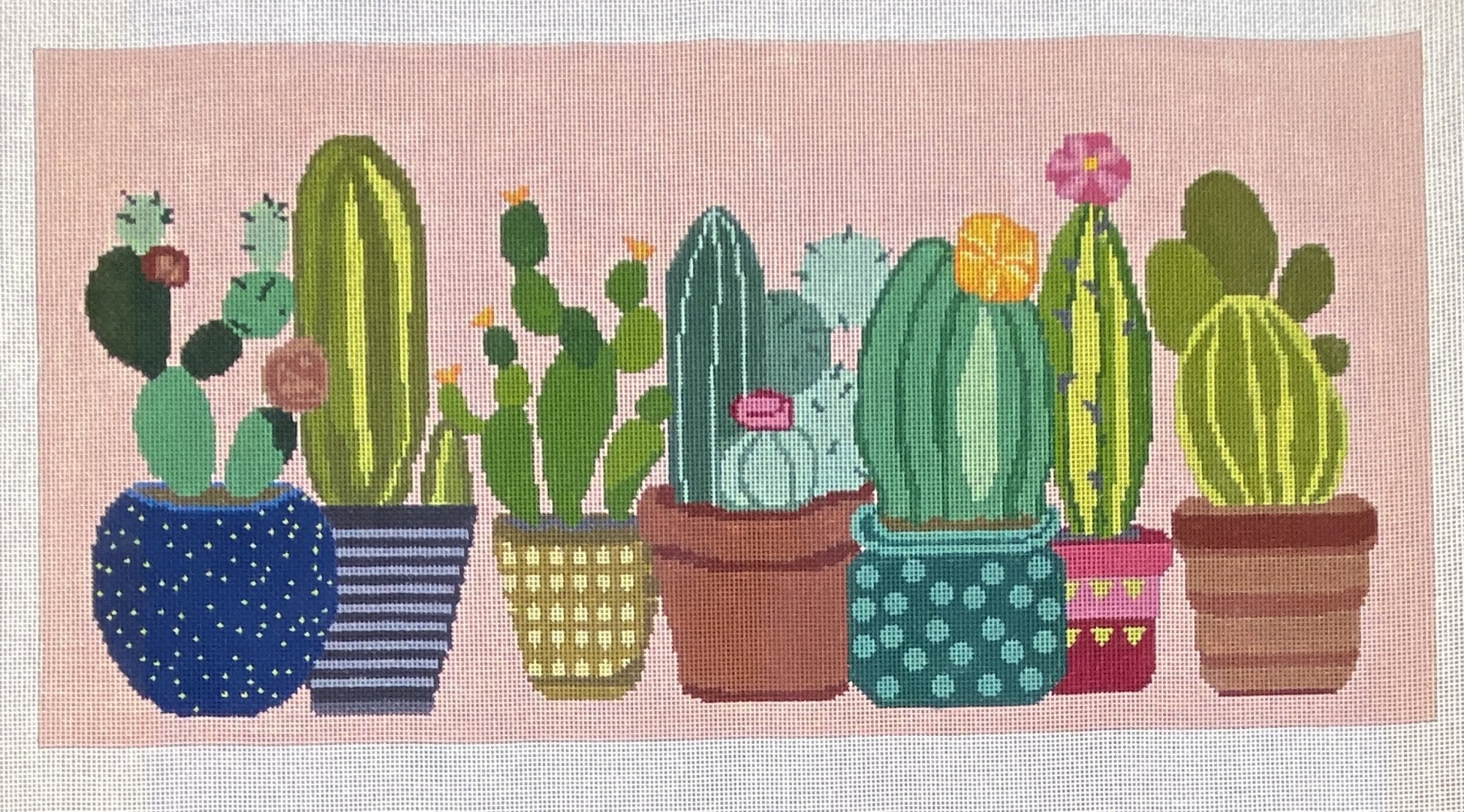 Cactus