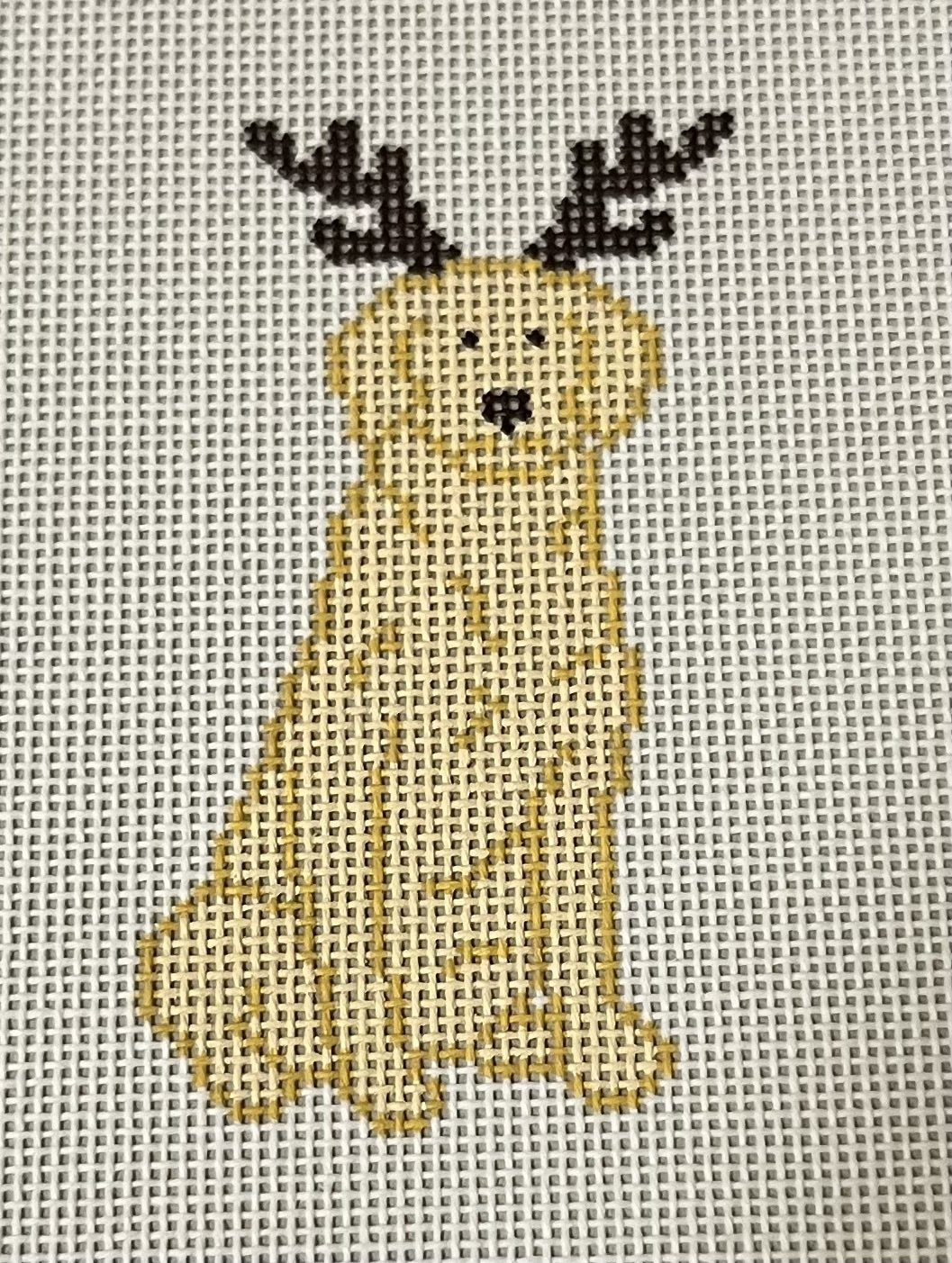 Reindeer Pup