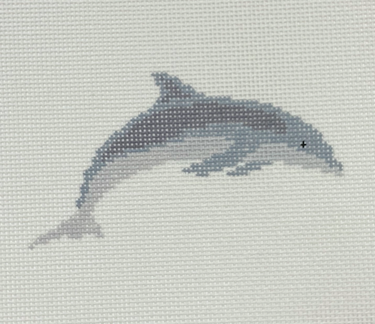 Dolphin