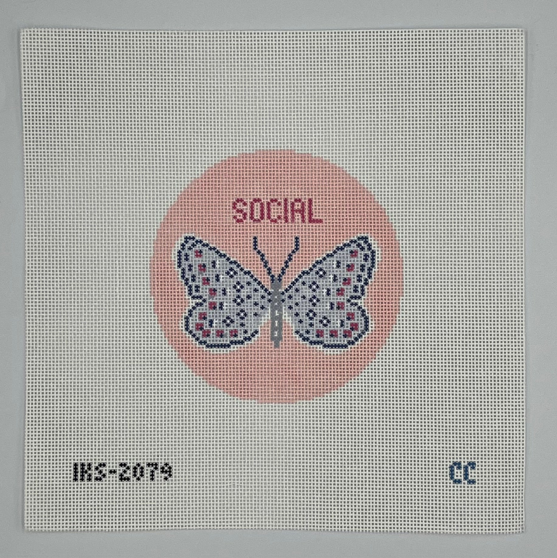 Social Butterfly Canvas