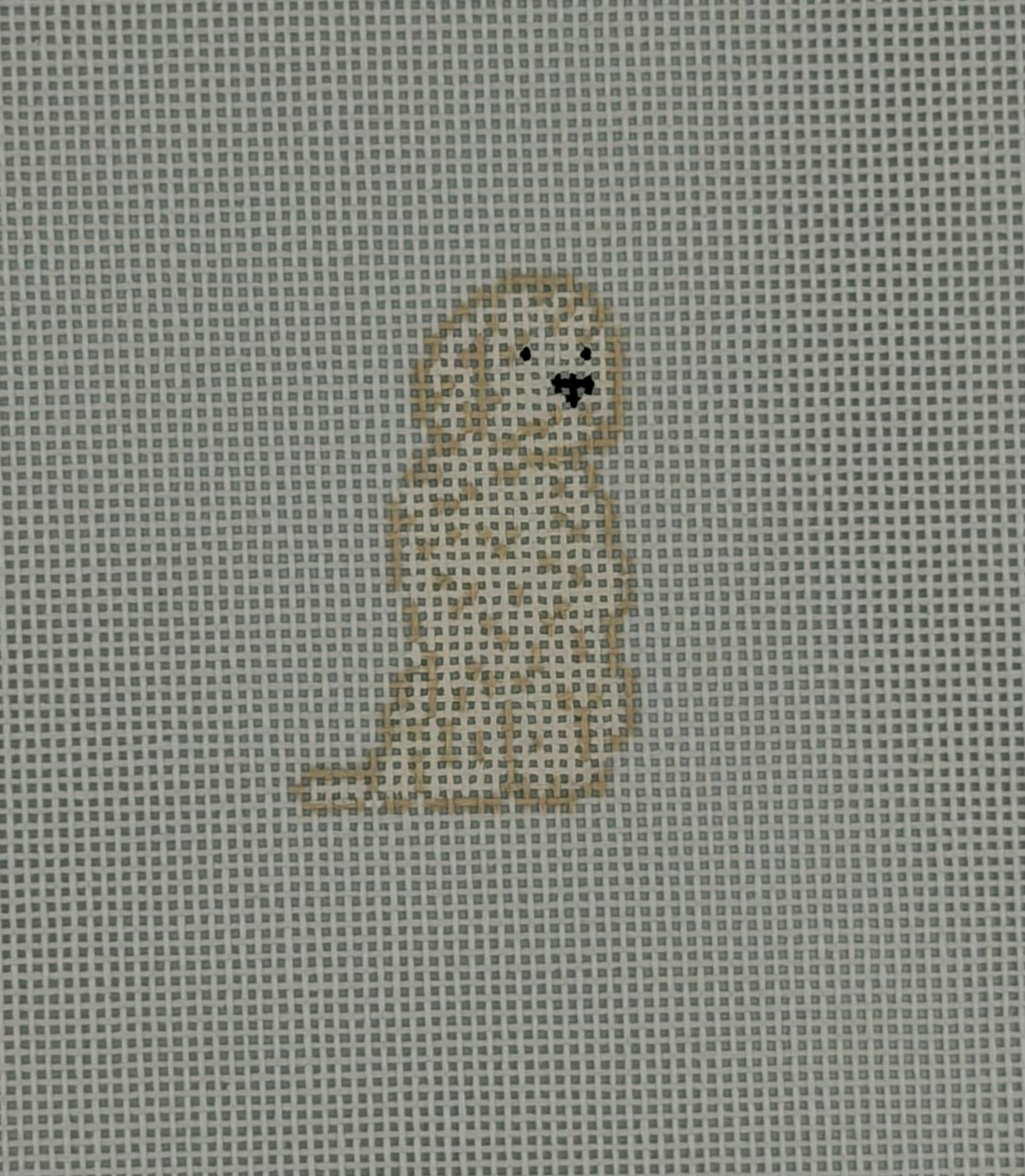 Mini Golden Doodle