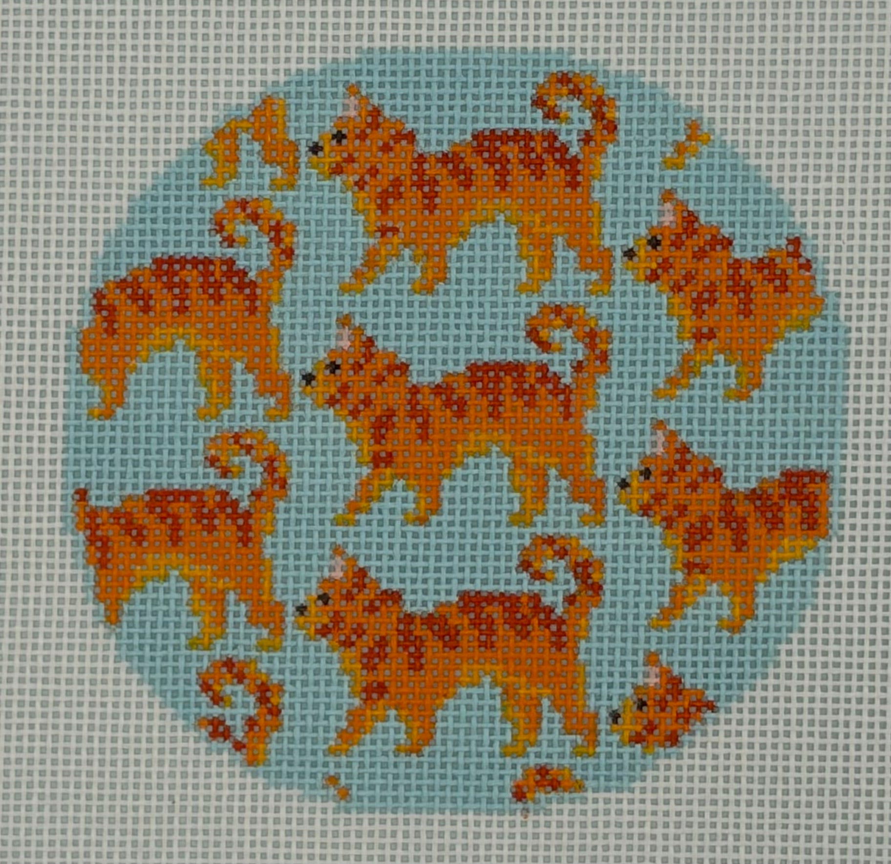 Orange Tabby Cat
