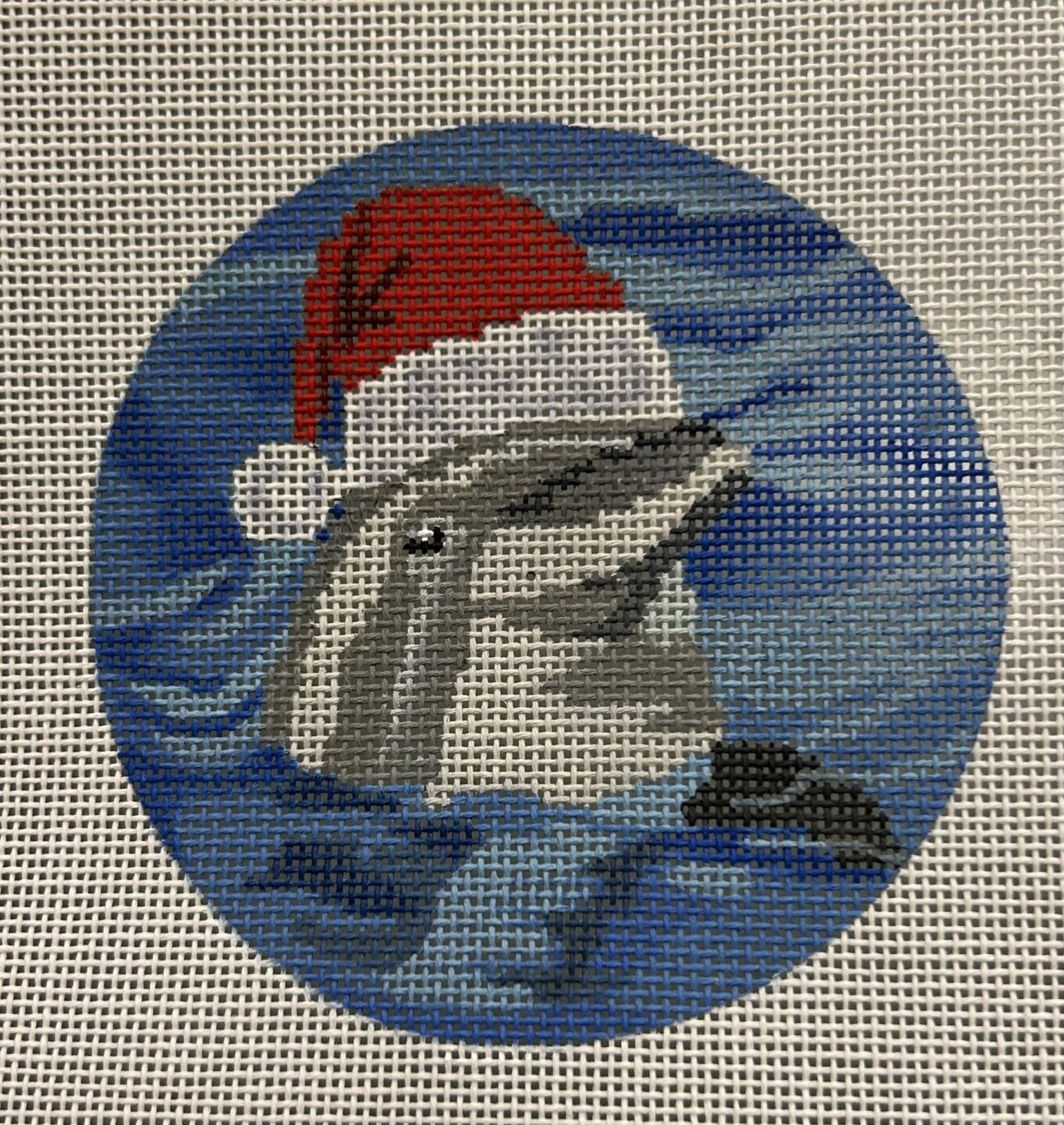 Dolphin in Santa Hat