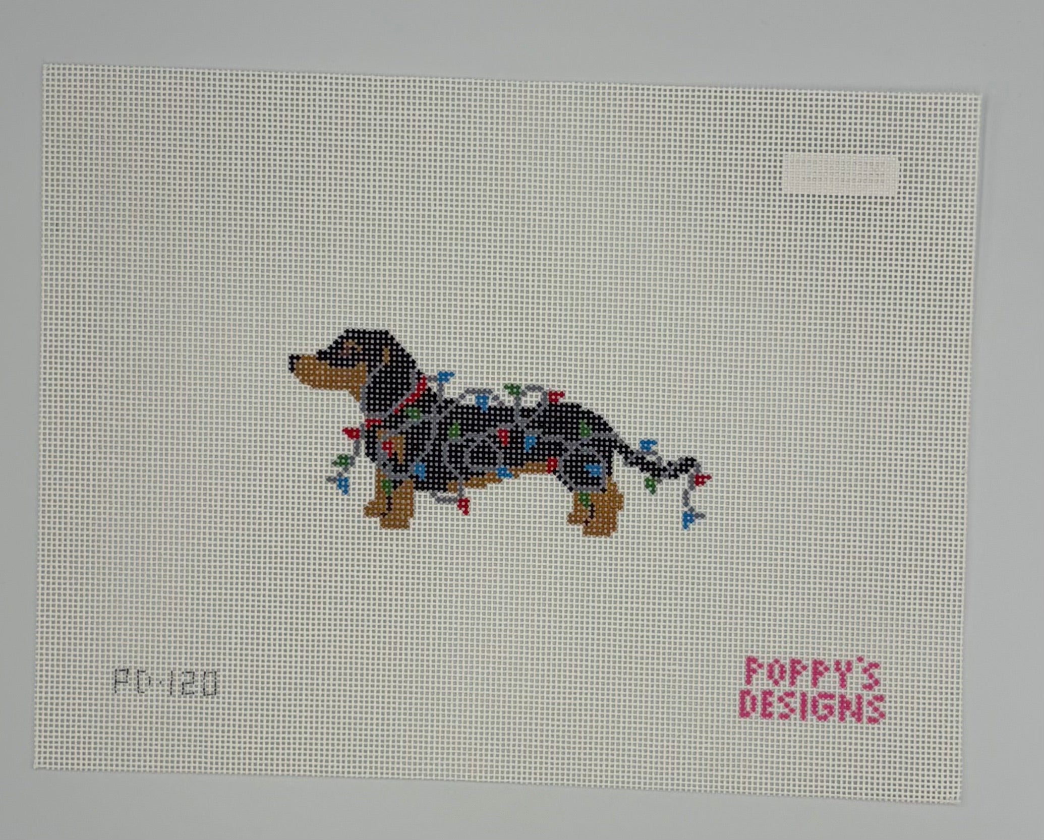 Christmas Lights - Dachshund