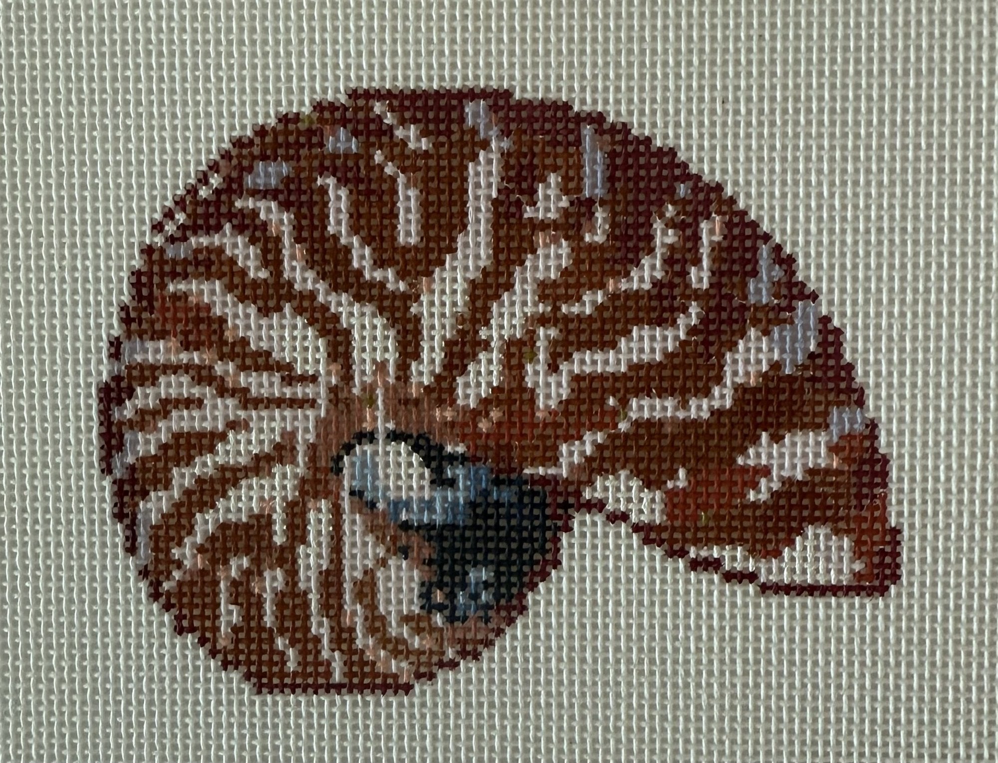 Mini Nautilus Shell - Terra Cotta