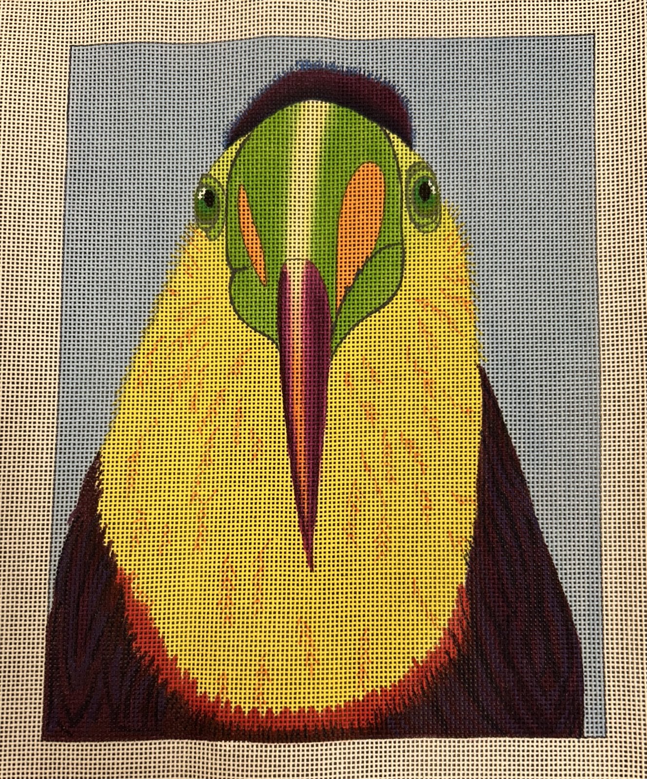 Flat Top Toucan