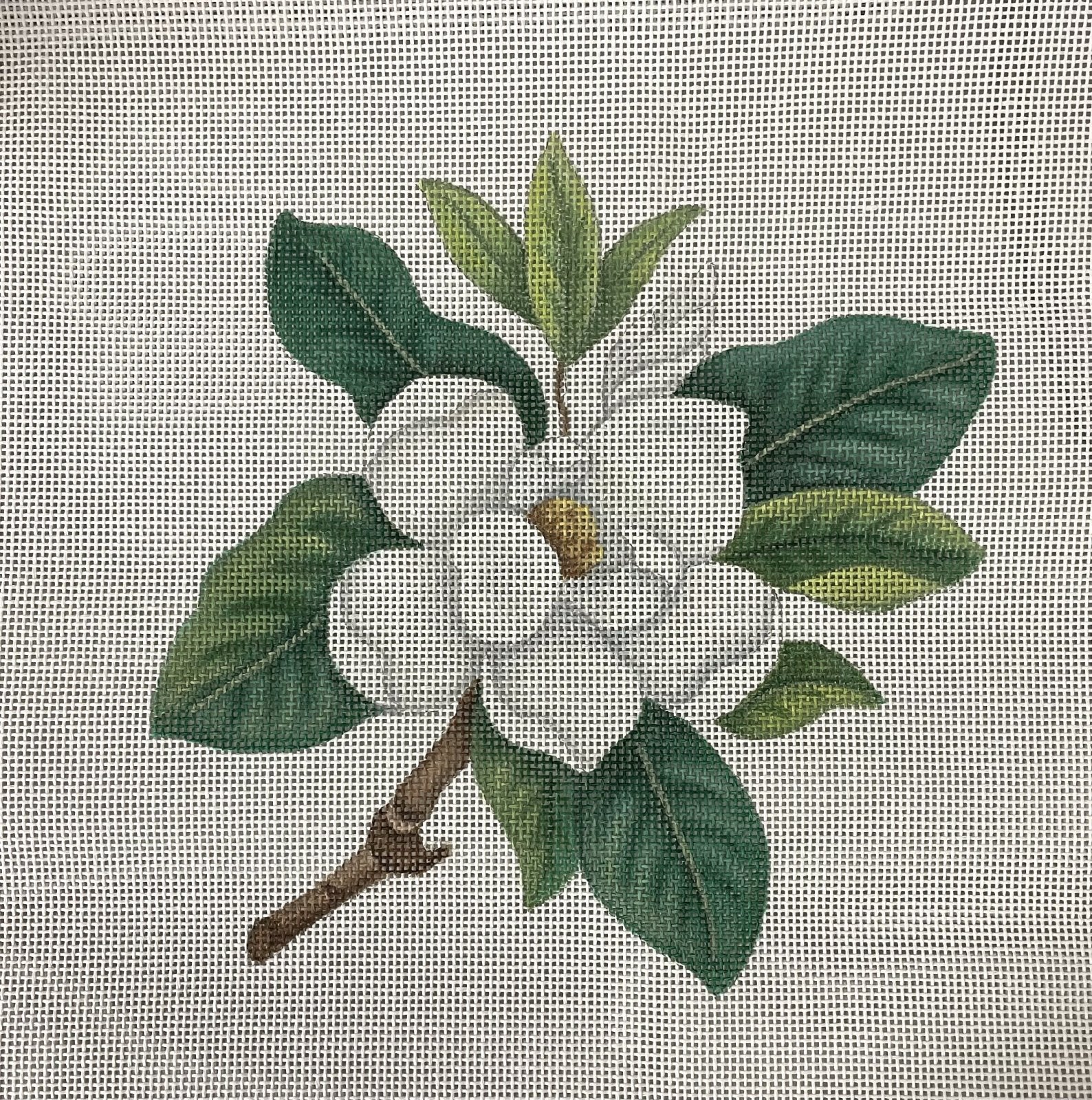 Magnolia