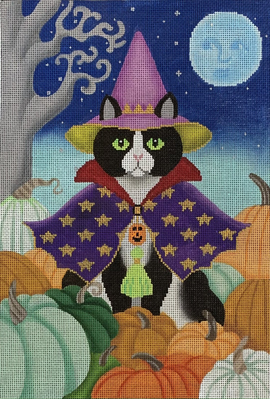 Black Cat w/ Heirloom Pumpkins