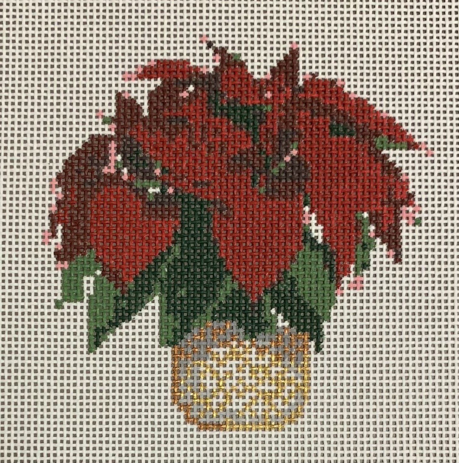 Poinsettia