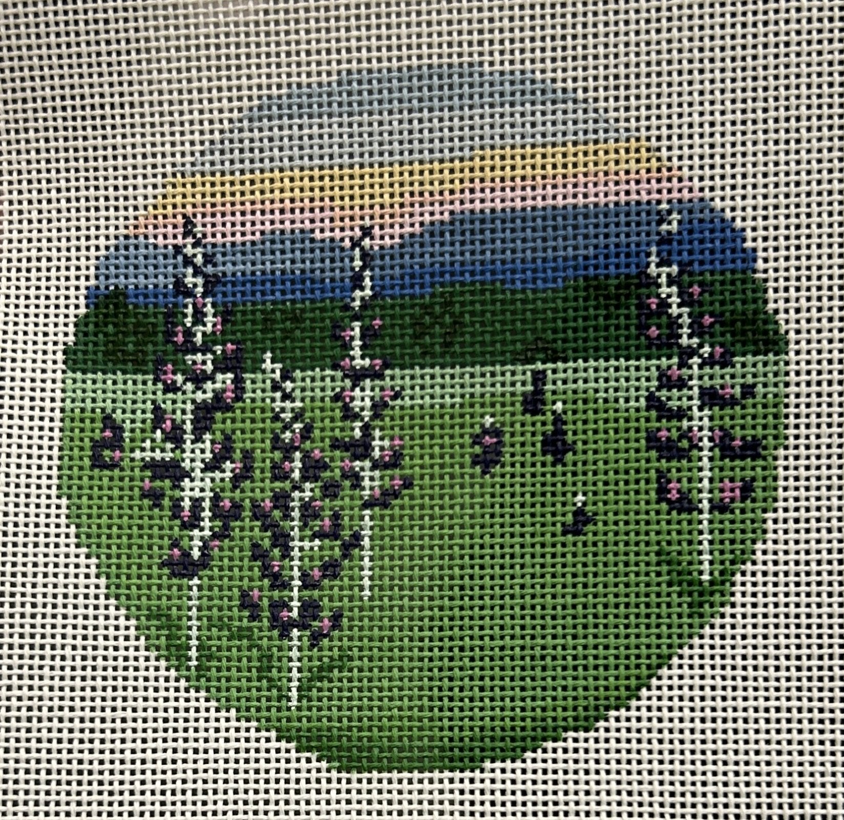 Lupine Field