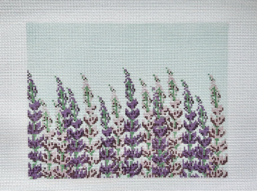 Lupine Fields