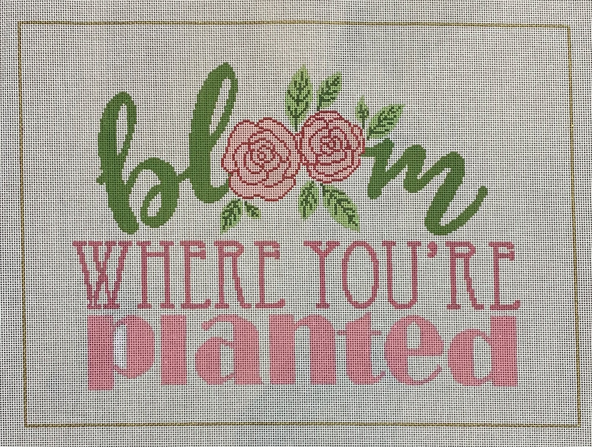 Bloom