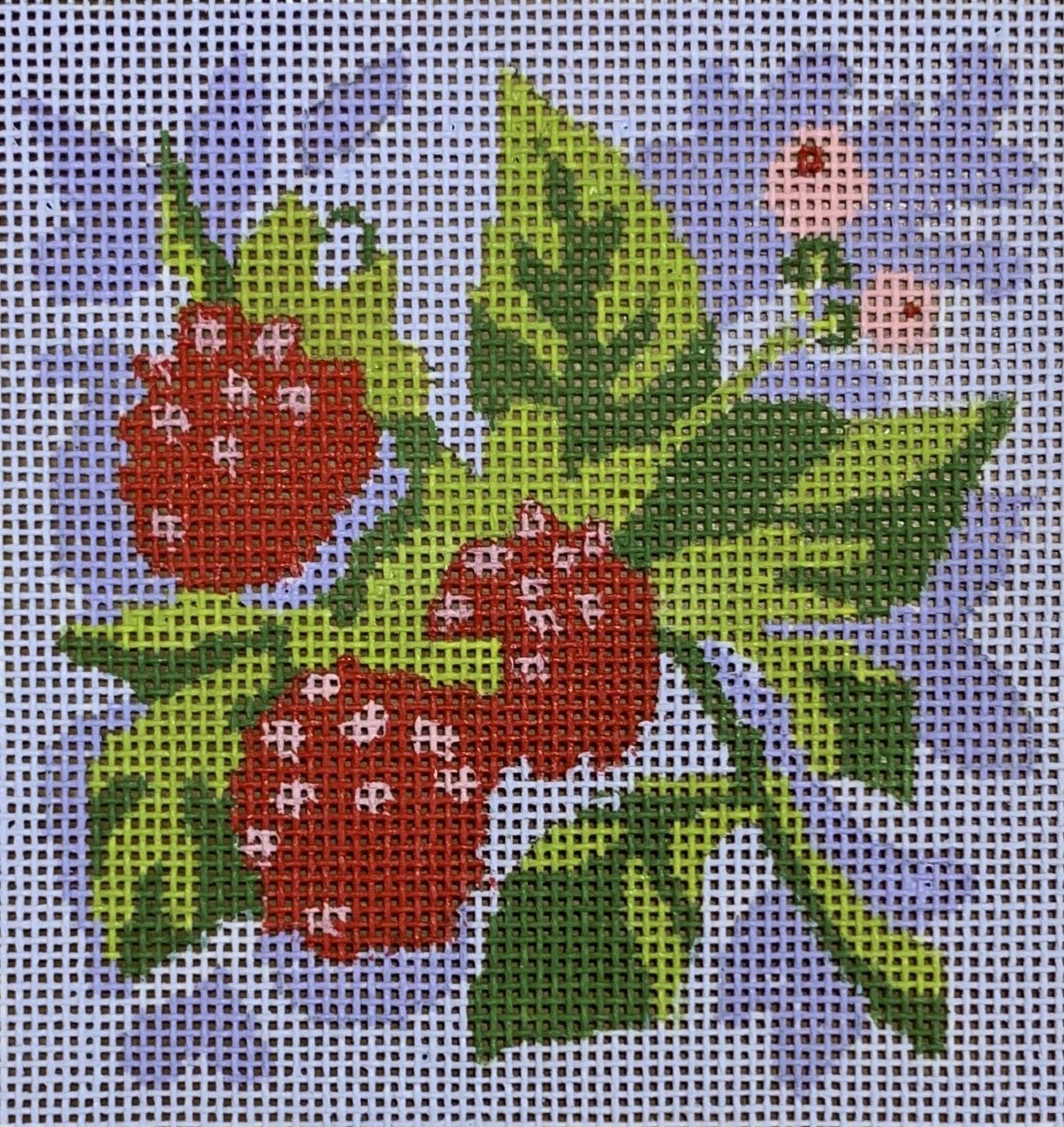 Fruit Square - Raspberries