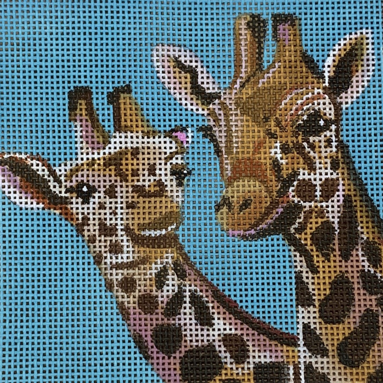 Two Giraffes Insert