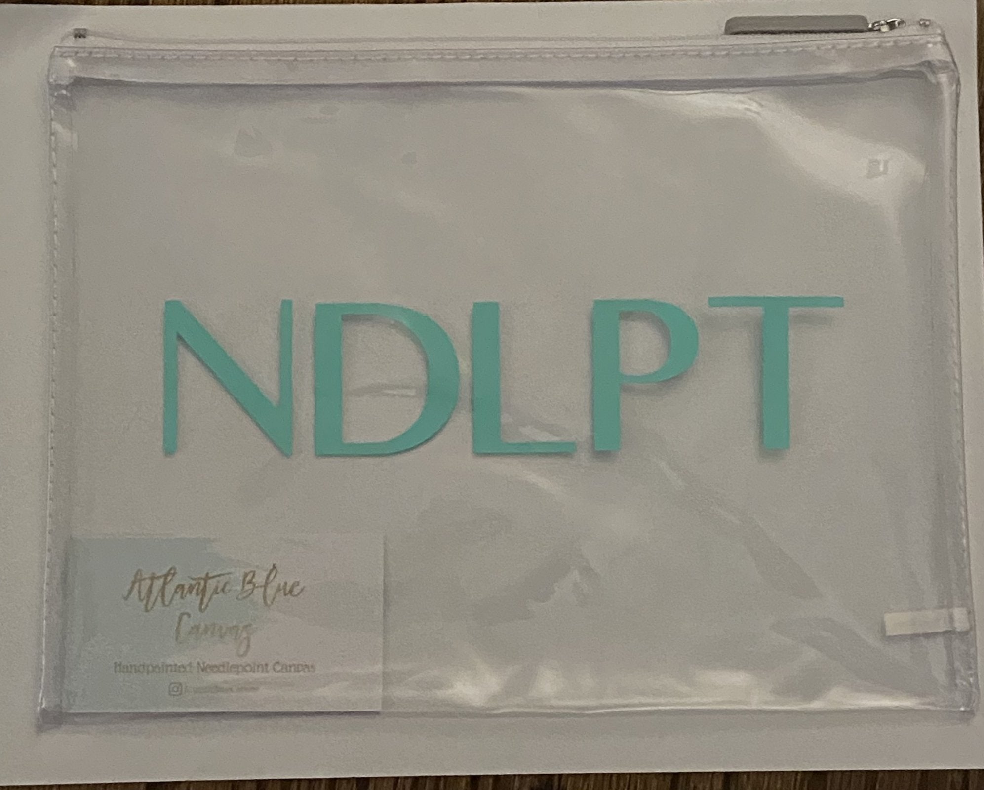 Vinyl Project Bag (clear) - NDLPT 10x8