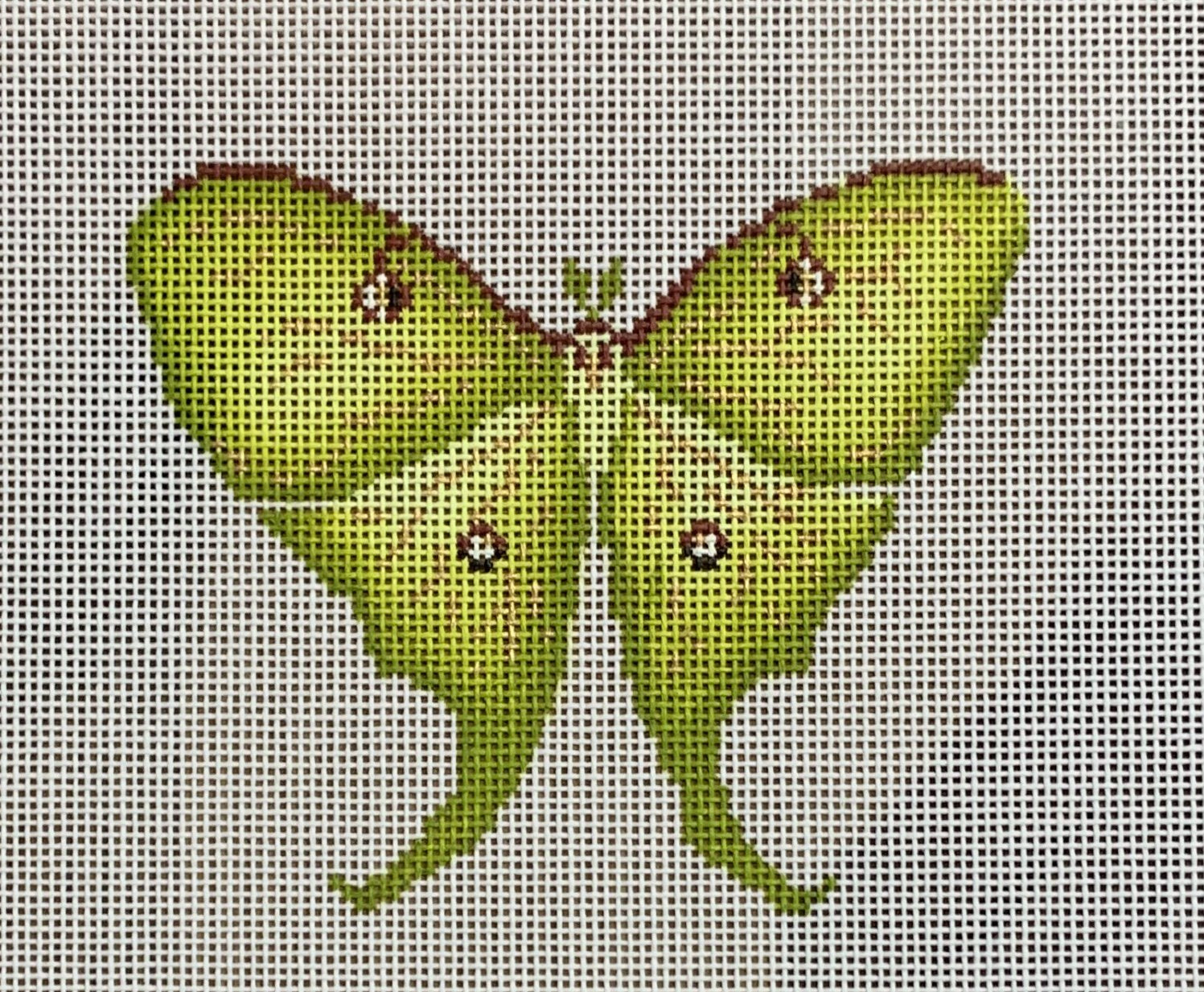 Luna Moth