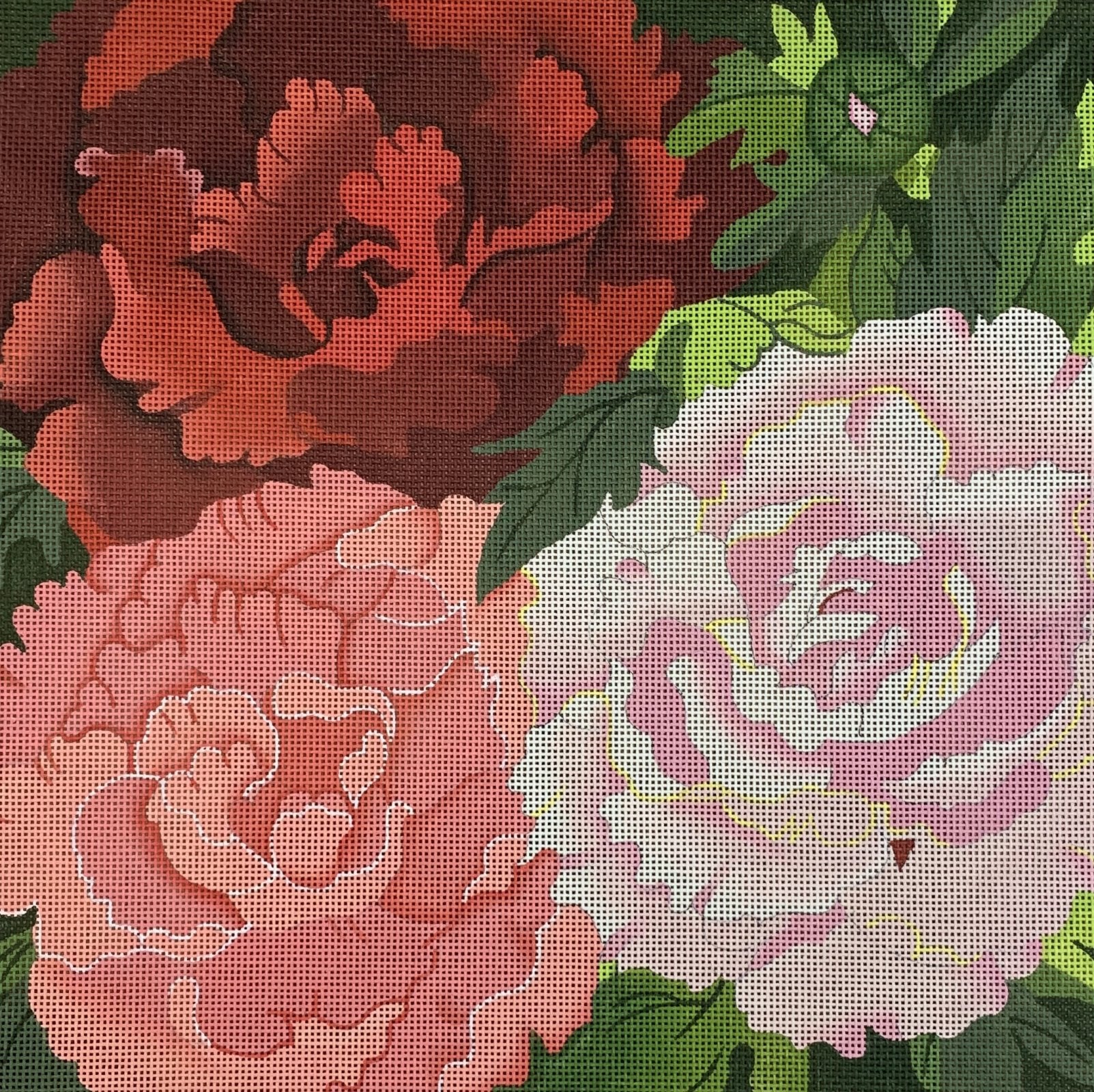 Giant Peonies