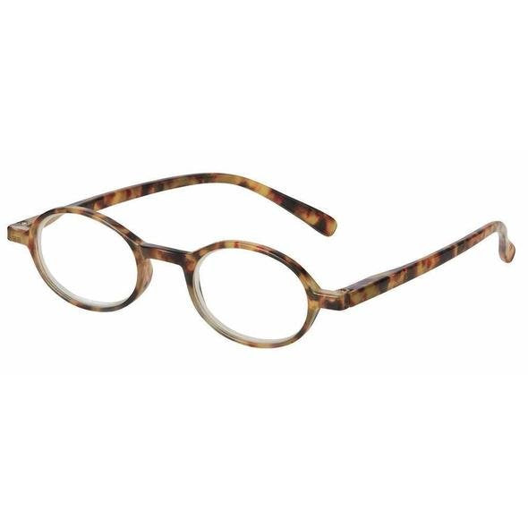 Rowan tortoise 2.75