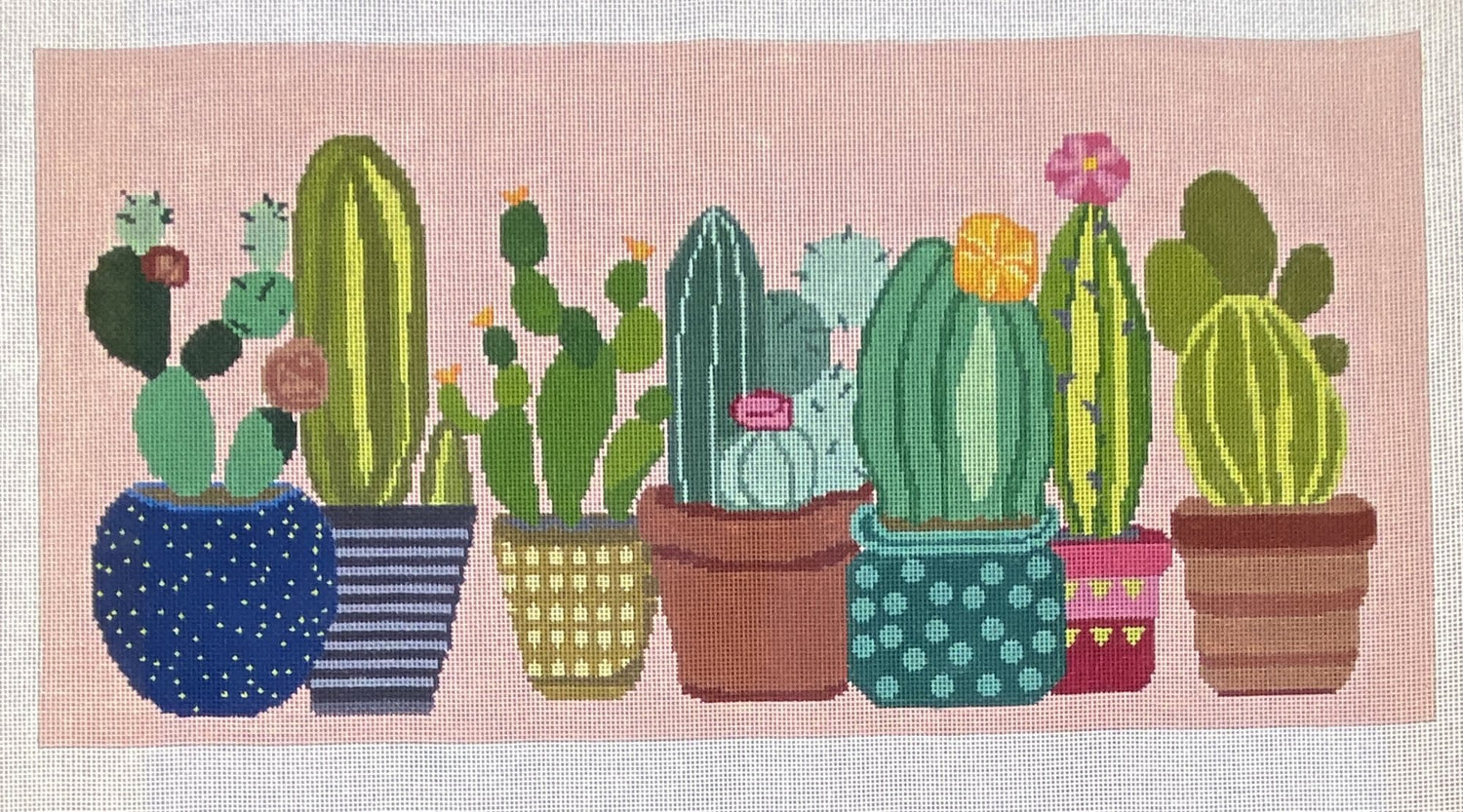 Cactus