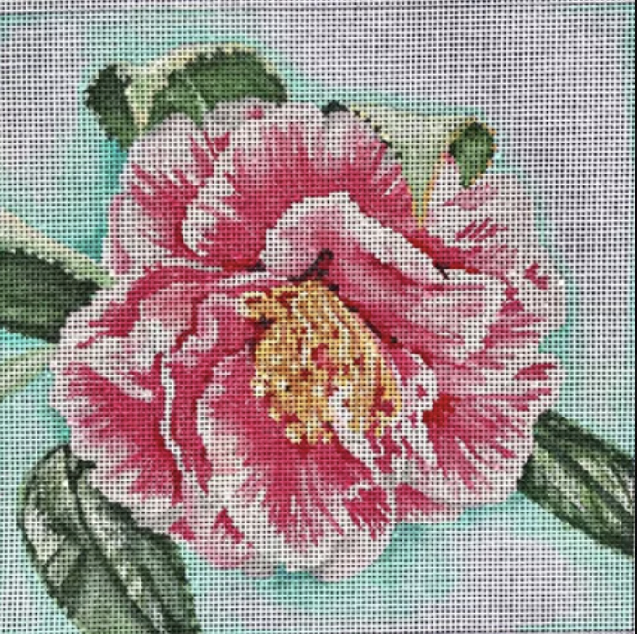 Pink Camellia