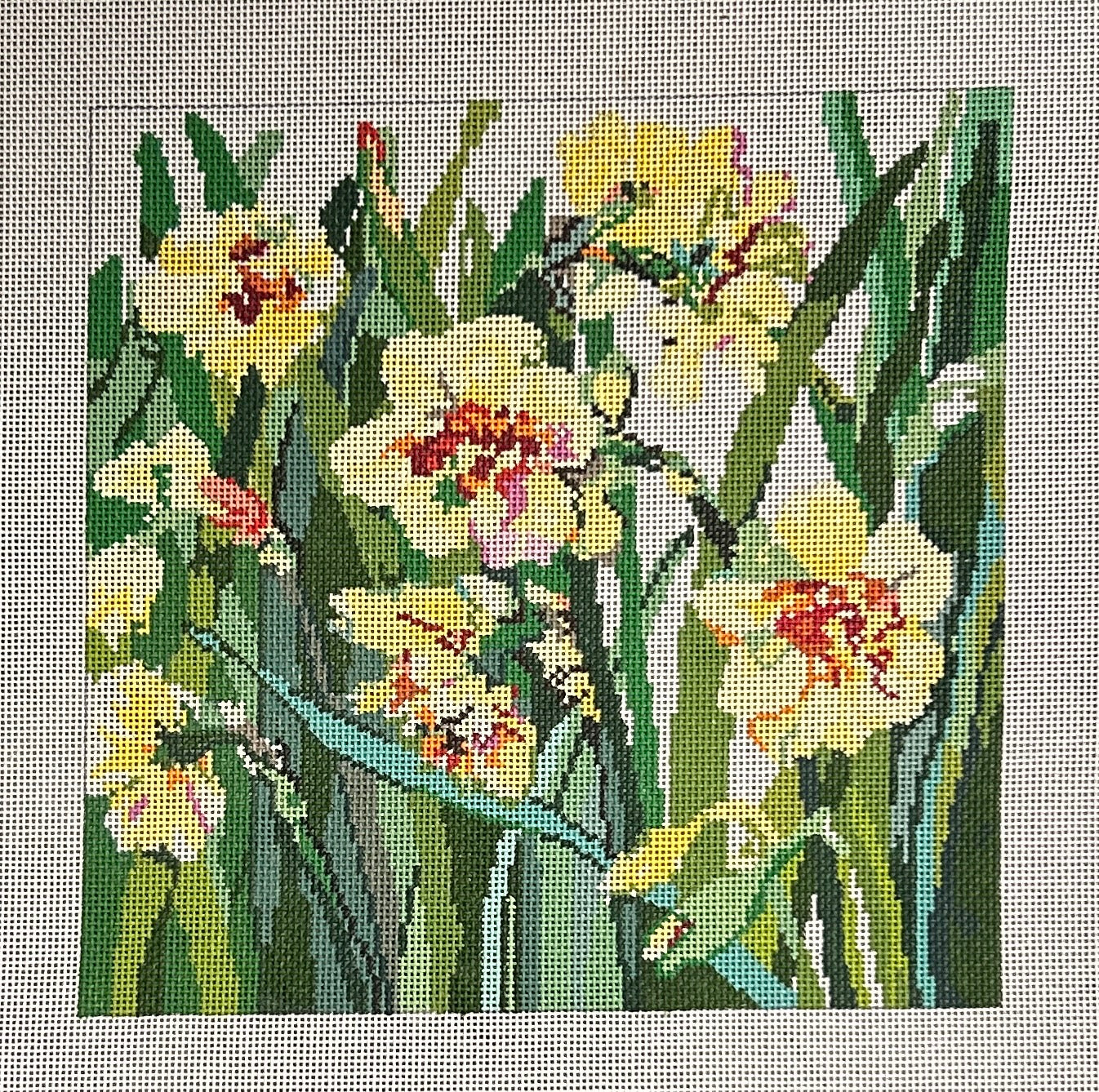 Daffodils