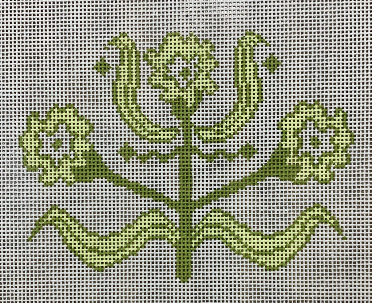 Marigold - Green