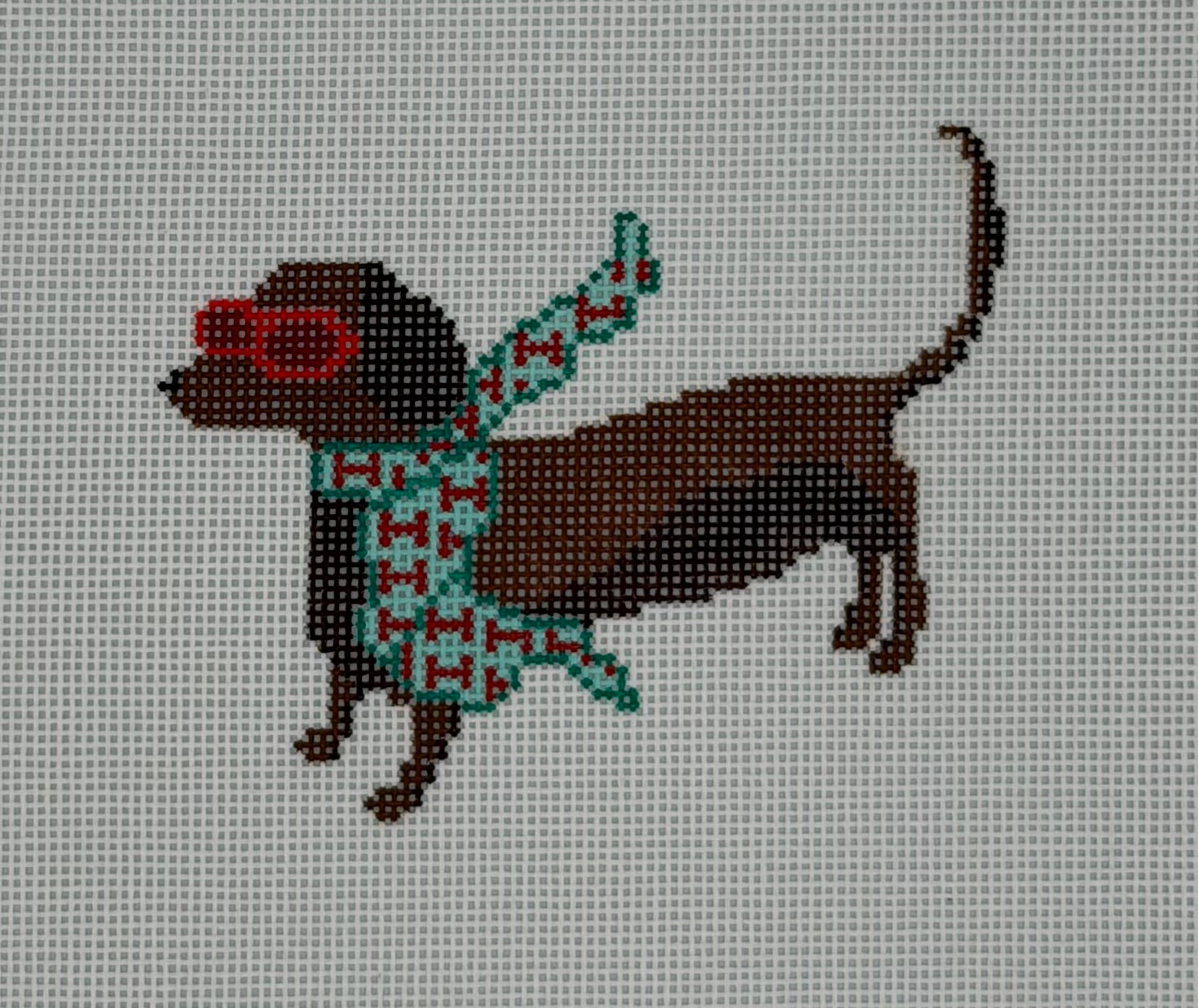 Bougie Dachshund