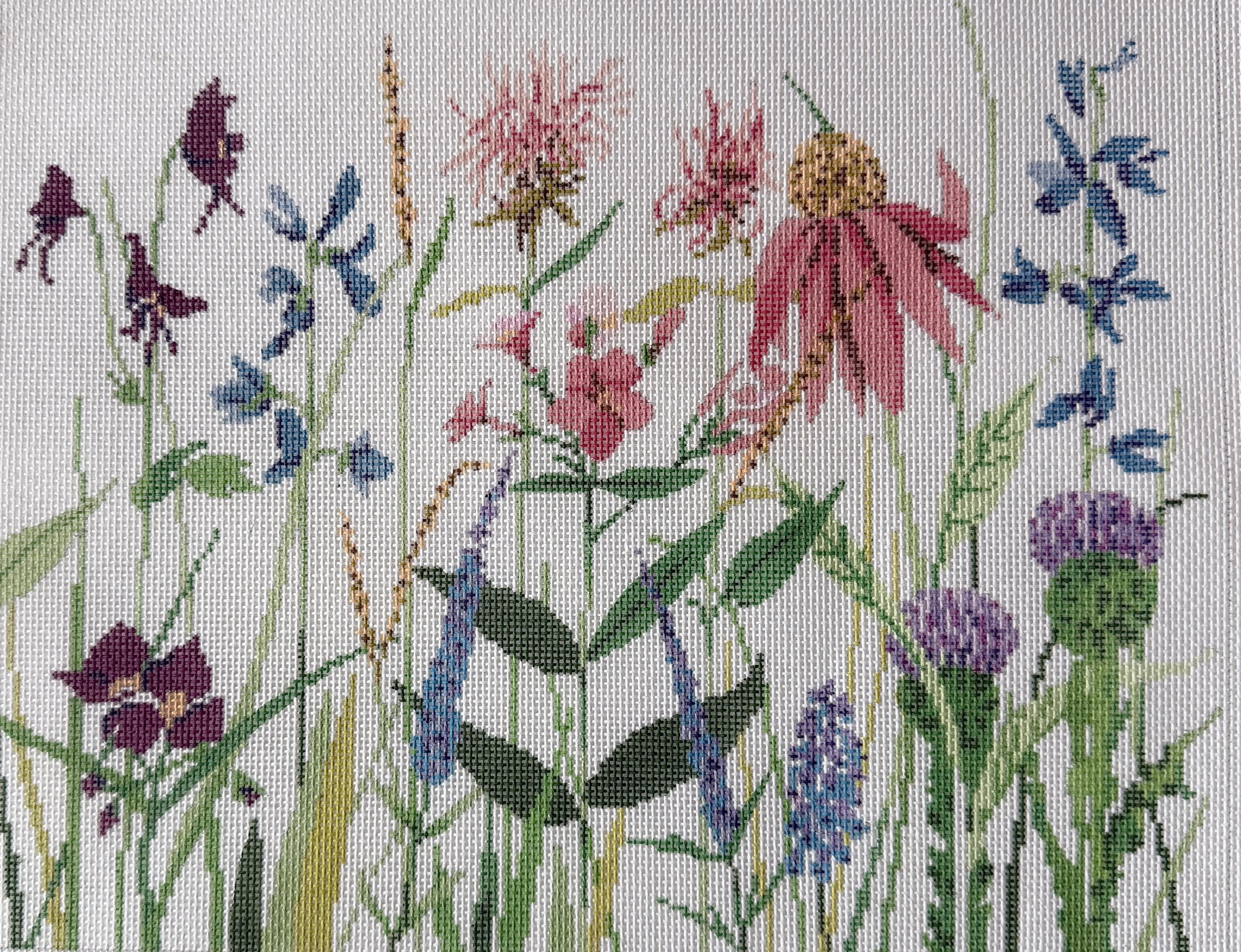 Wild Flowers