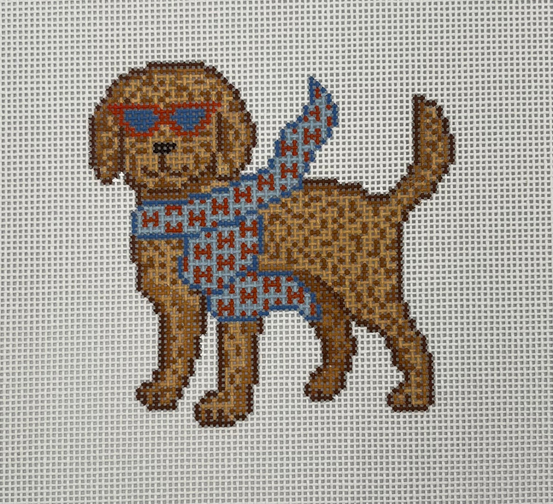 Bougie Goldendoodle