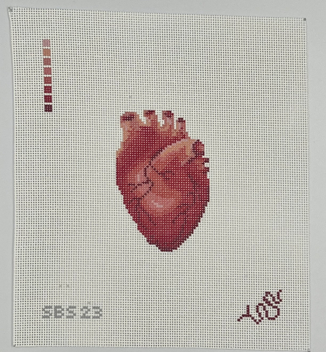Human Anatomy Series - Heart