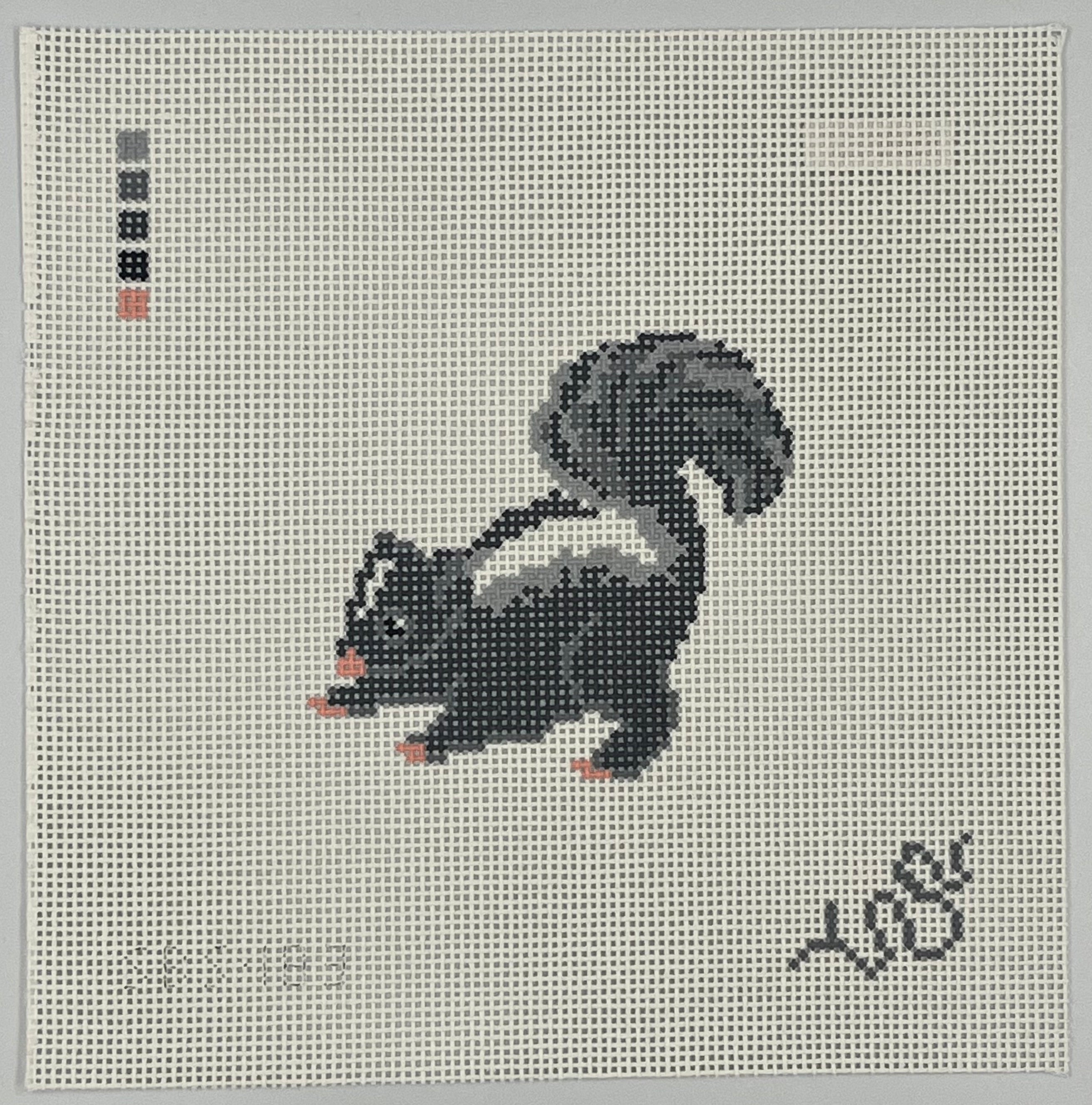 Baby Skunk