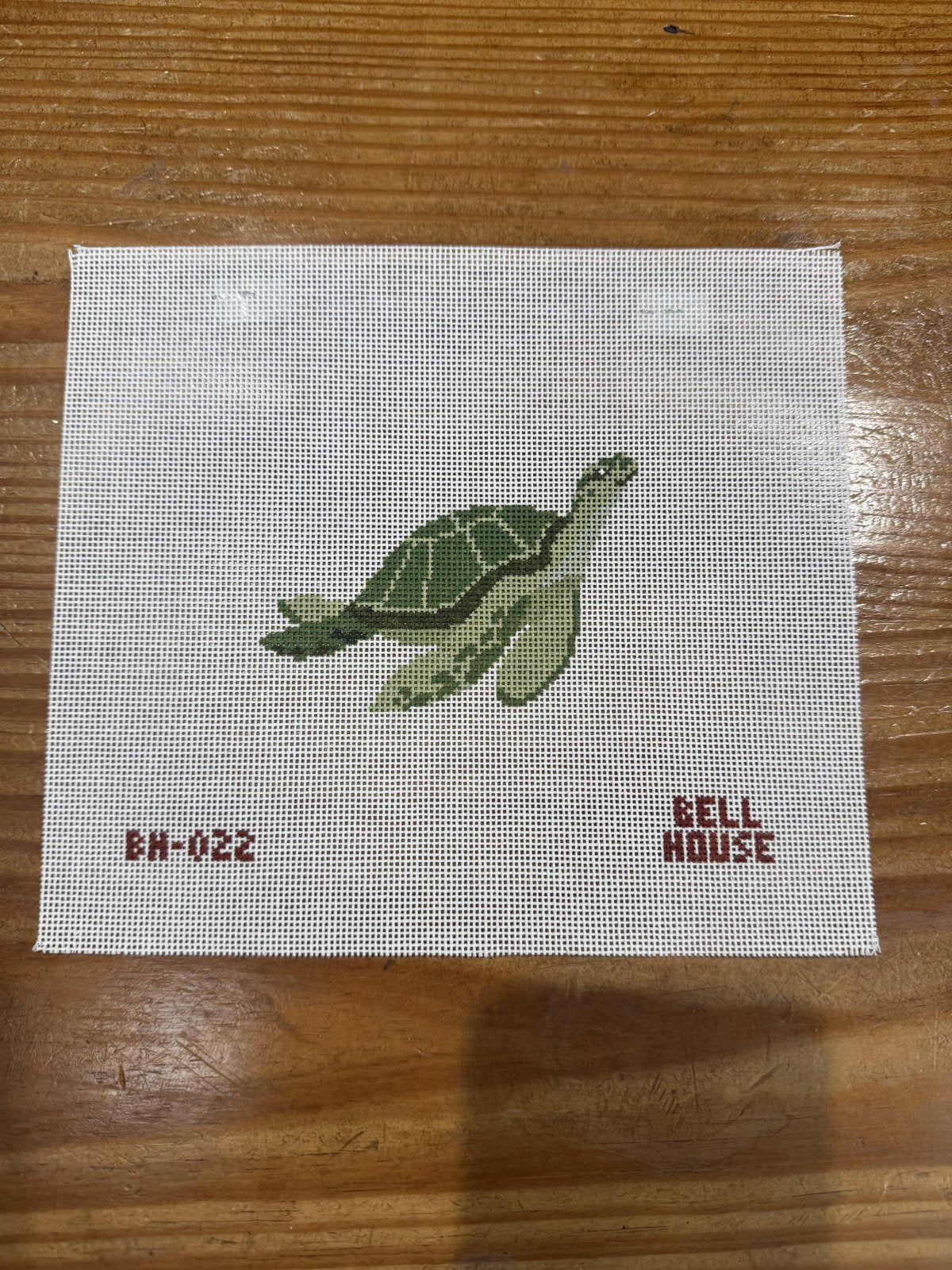 Sea Turtle