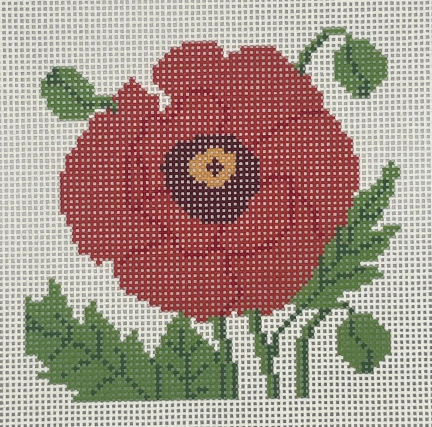 Poppy