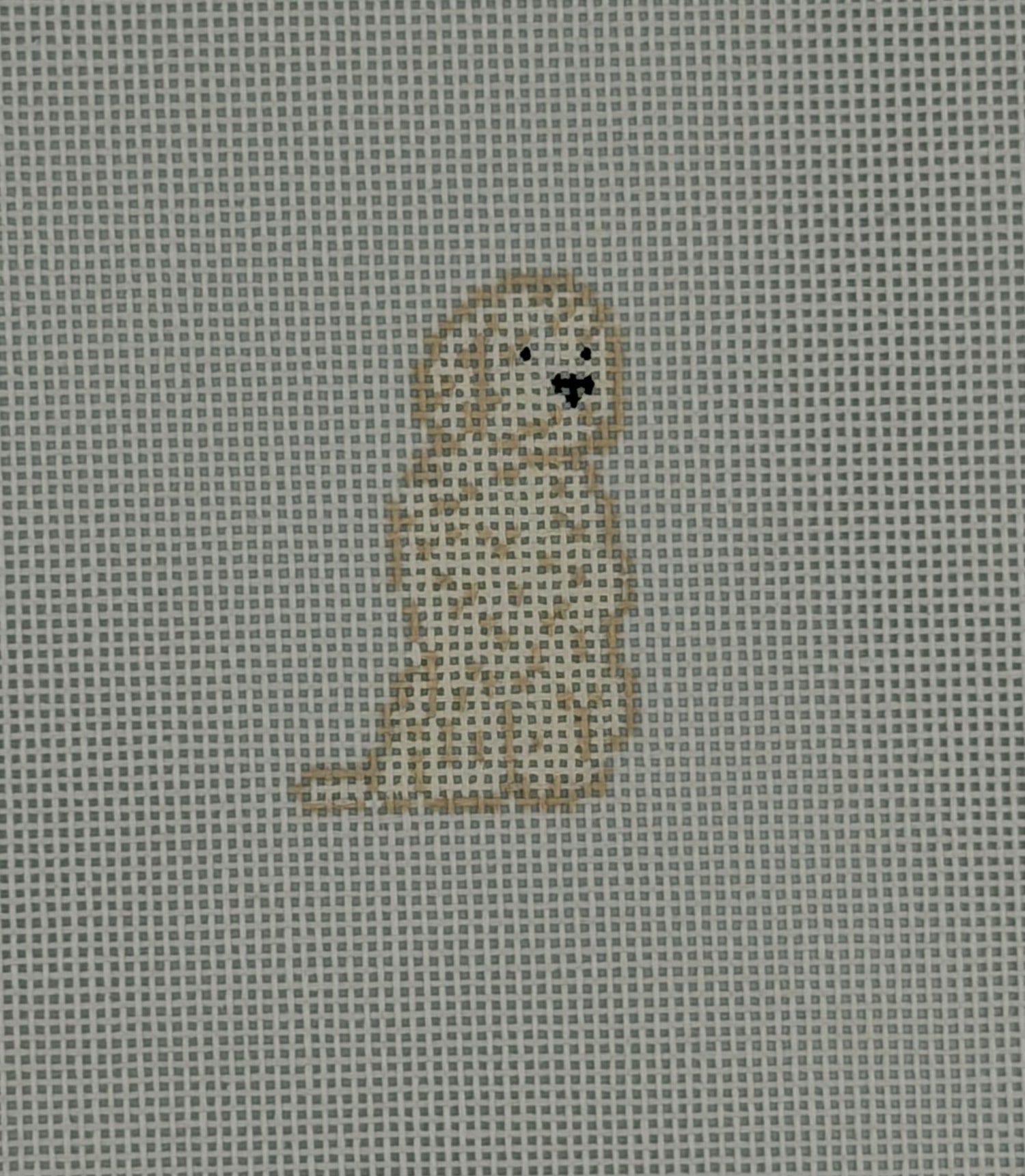 Mini Golden Doodle