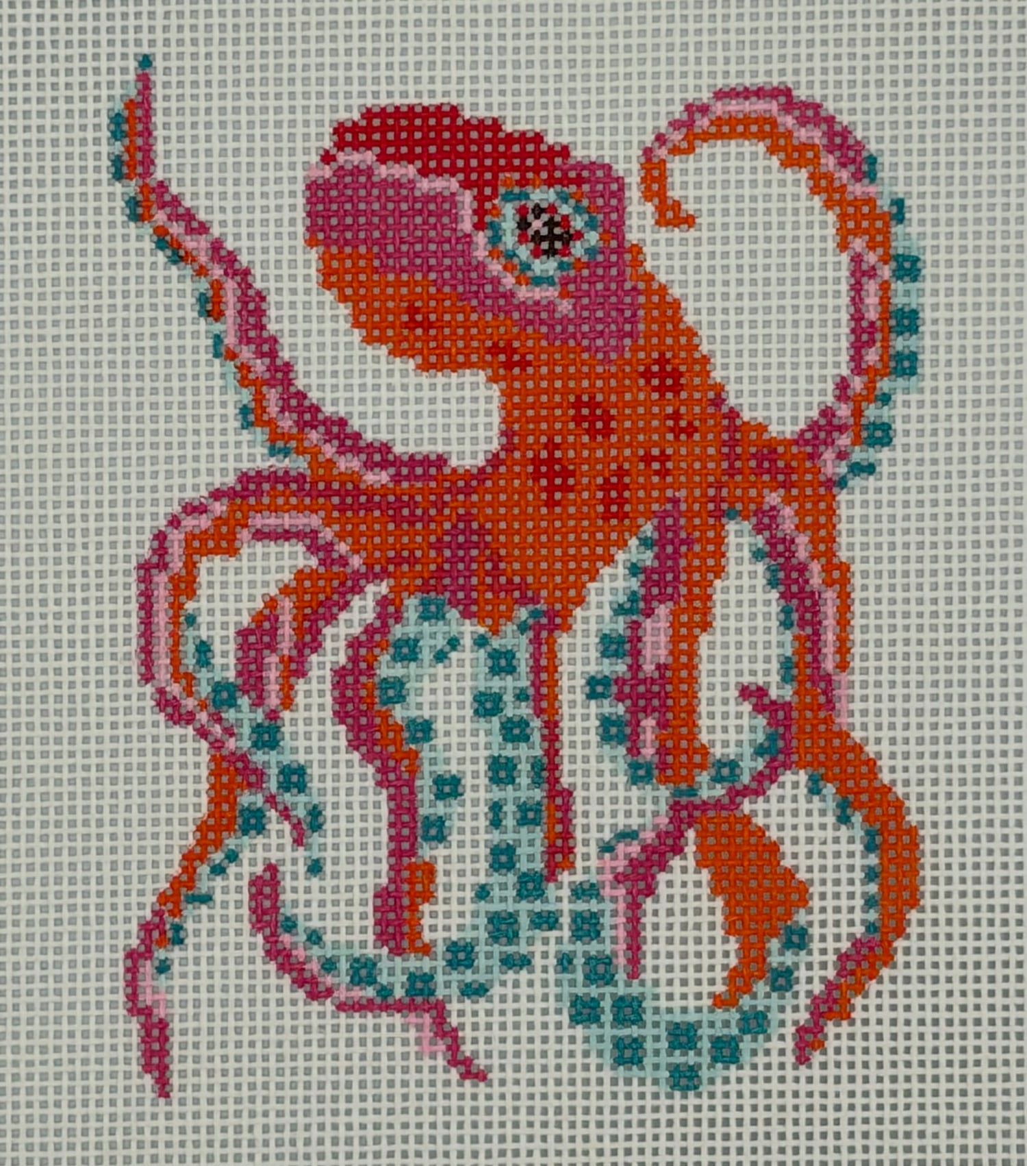 Octopus