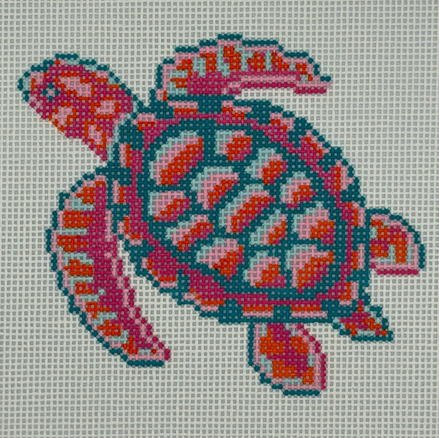 Turtle