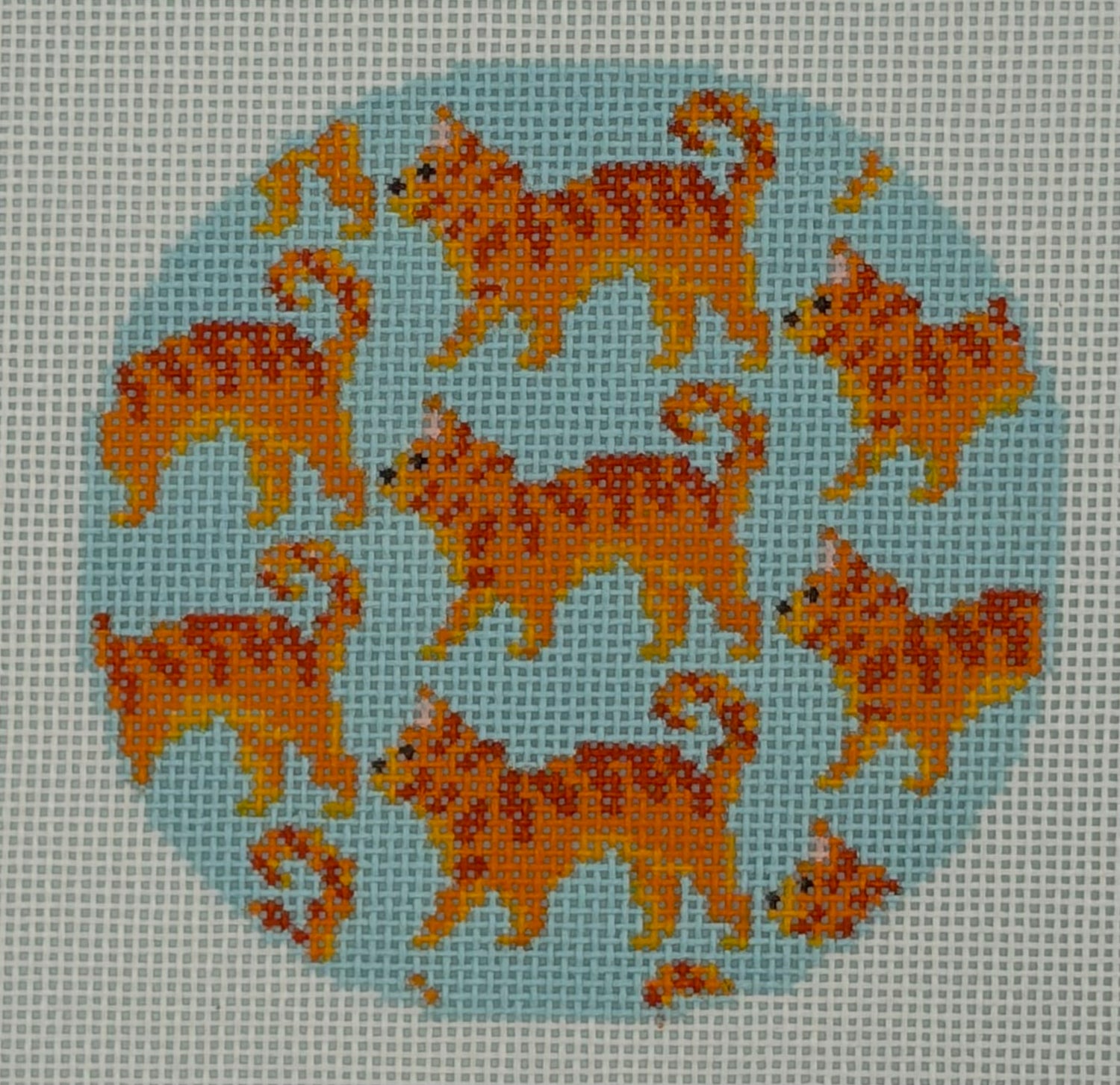 Orange Tabby Cat