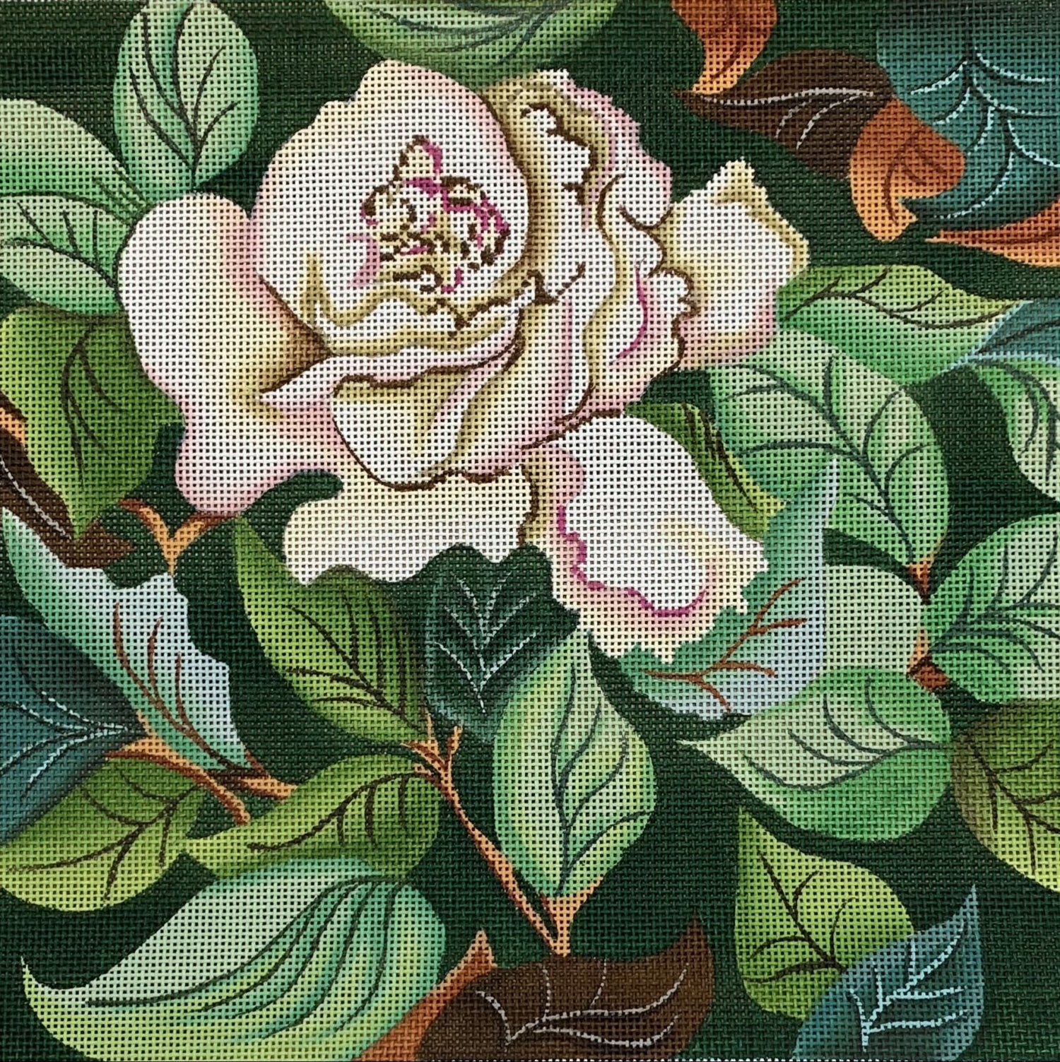 White Rose