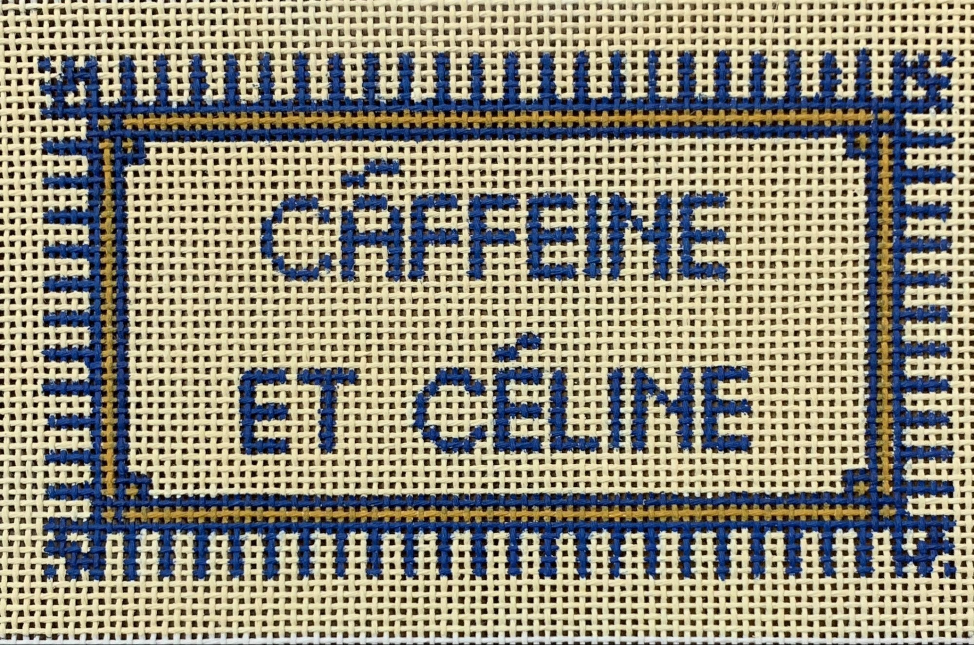 Celine Eyeglass Case