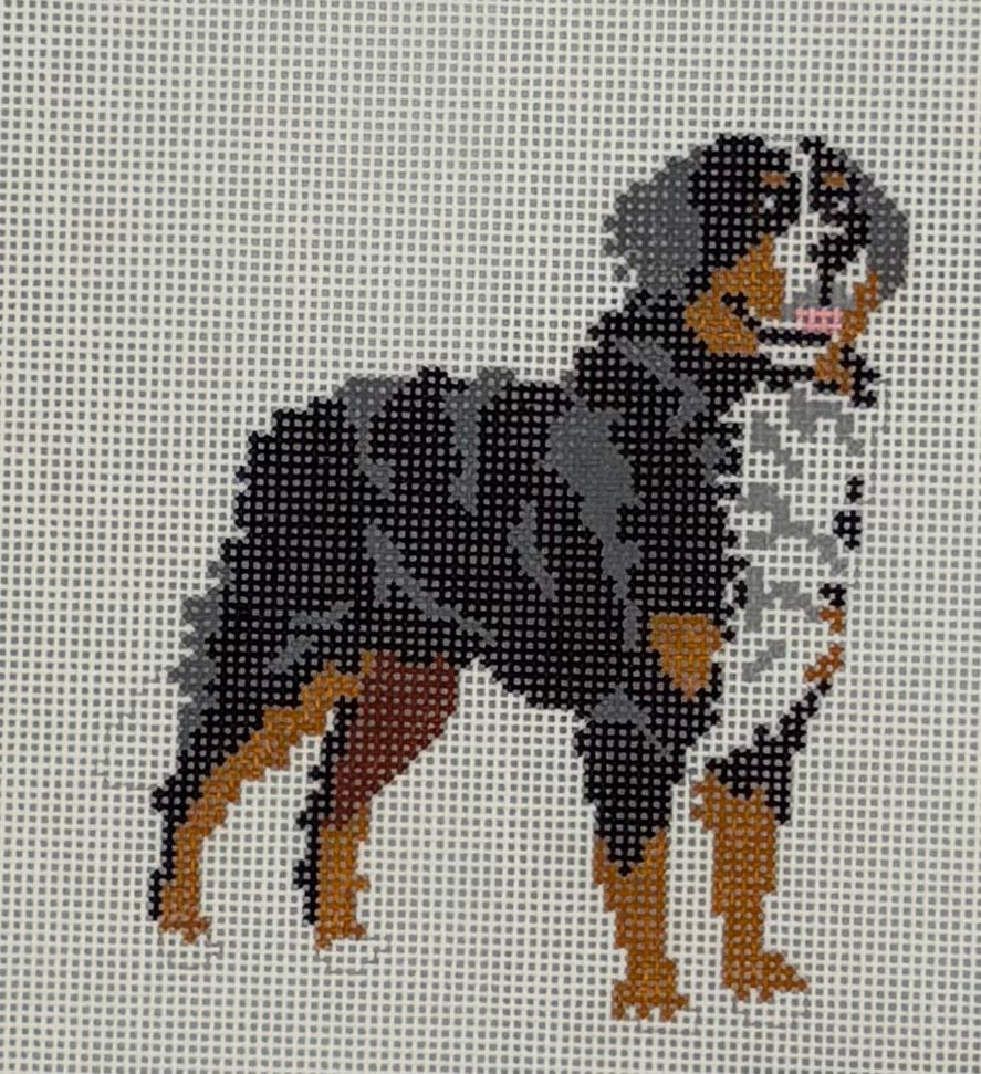 Bernese Mountain Dog