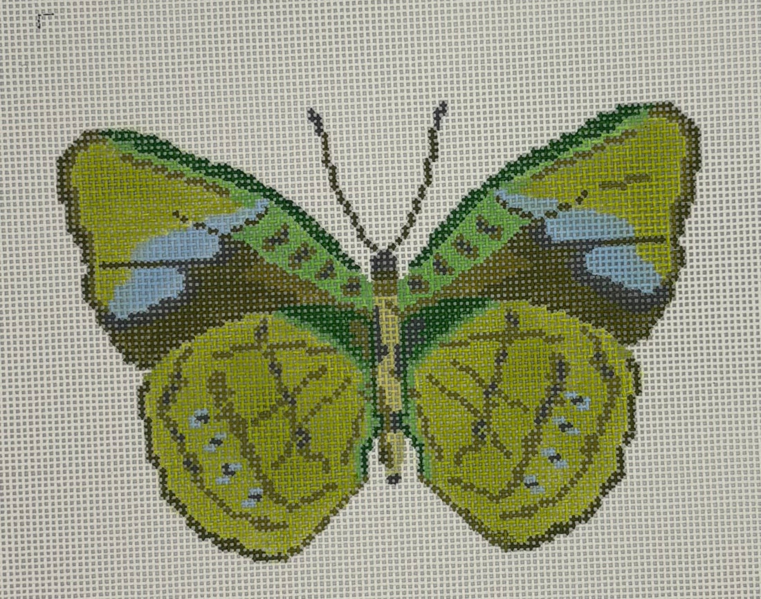 Butterfly Green Large