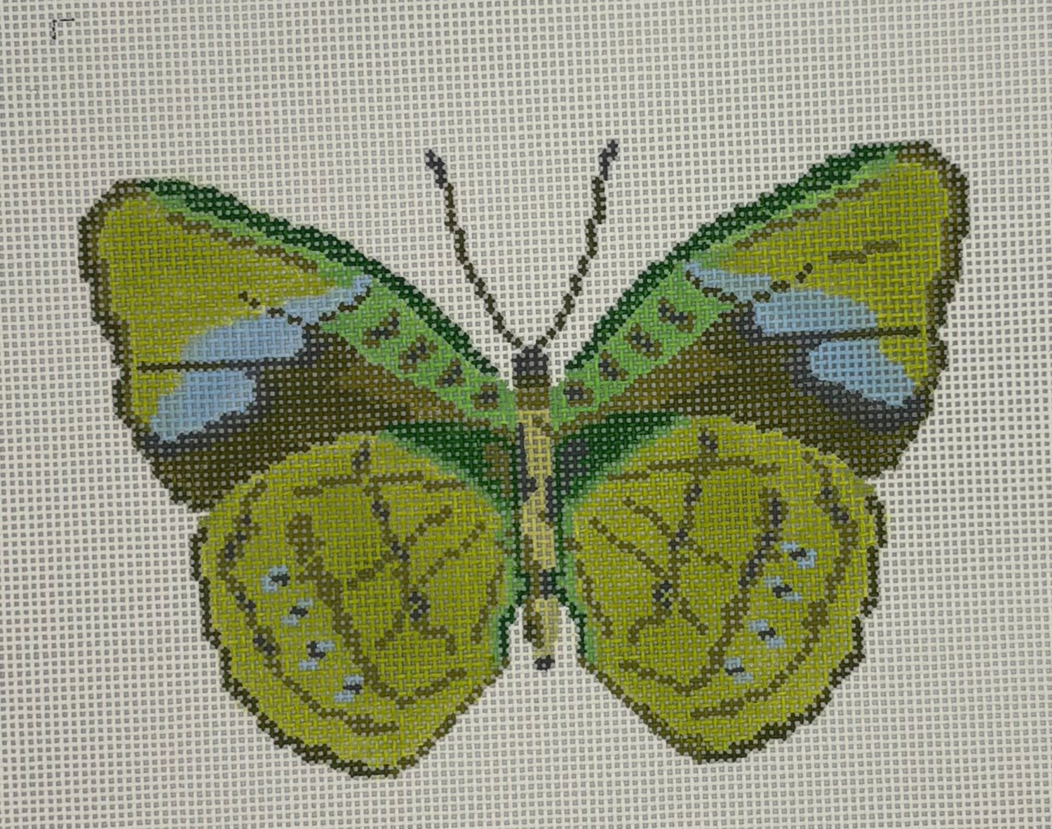 Butterfly Green Large