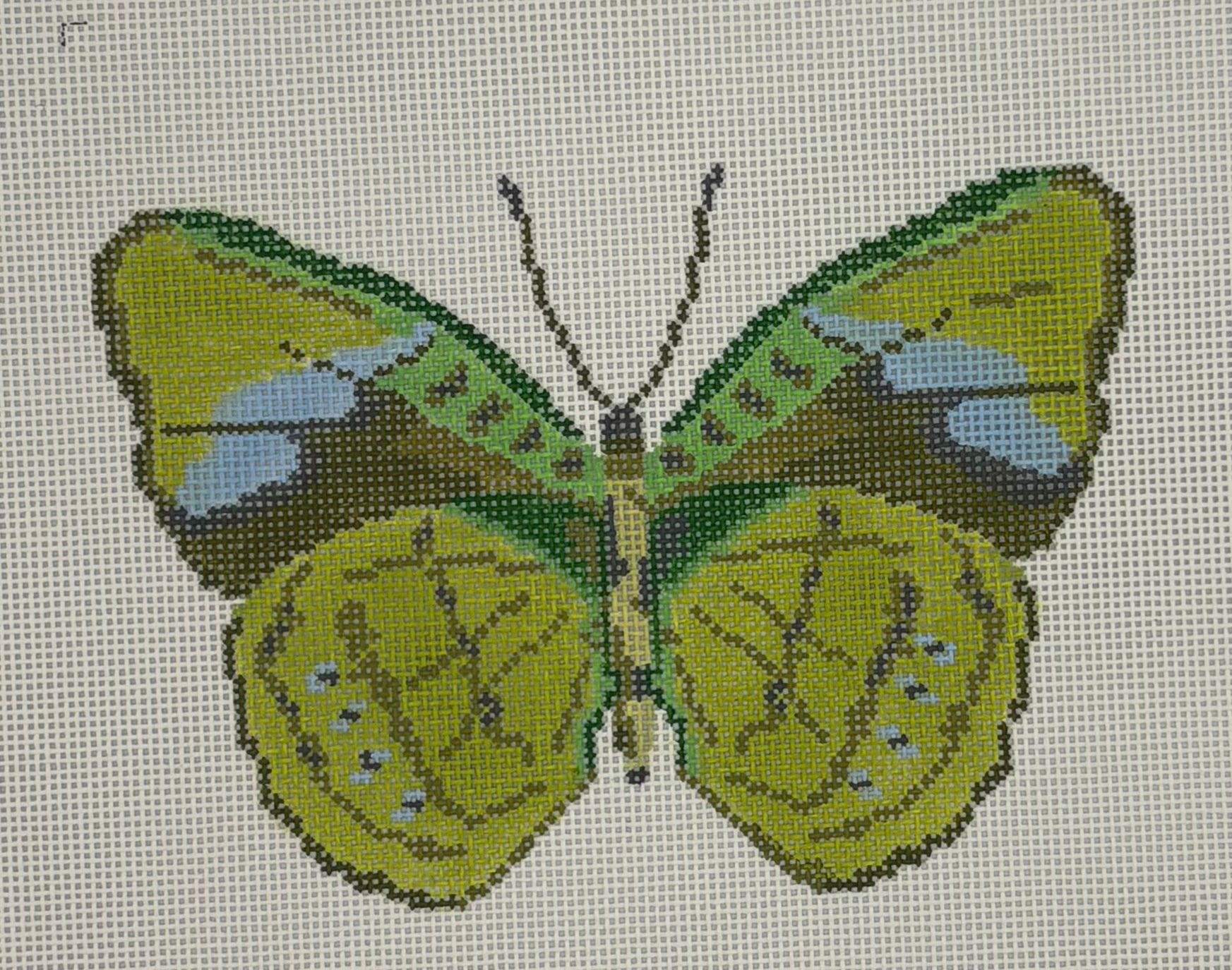Butterfly Green Large