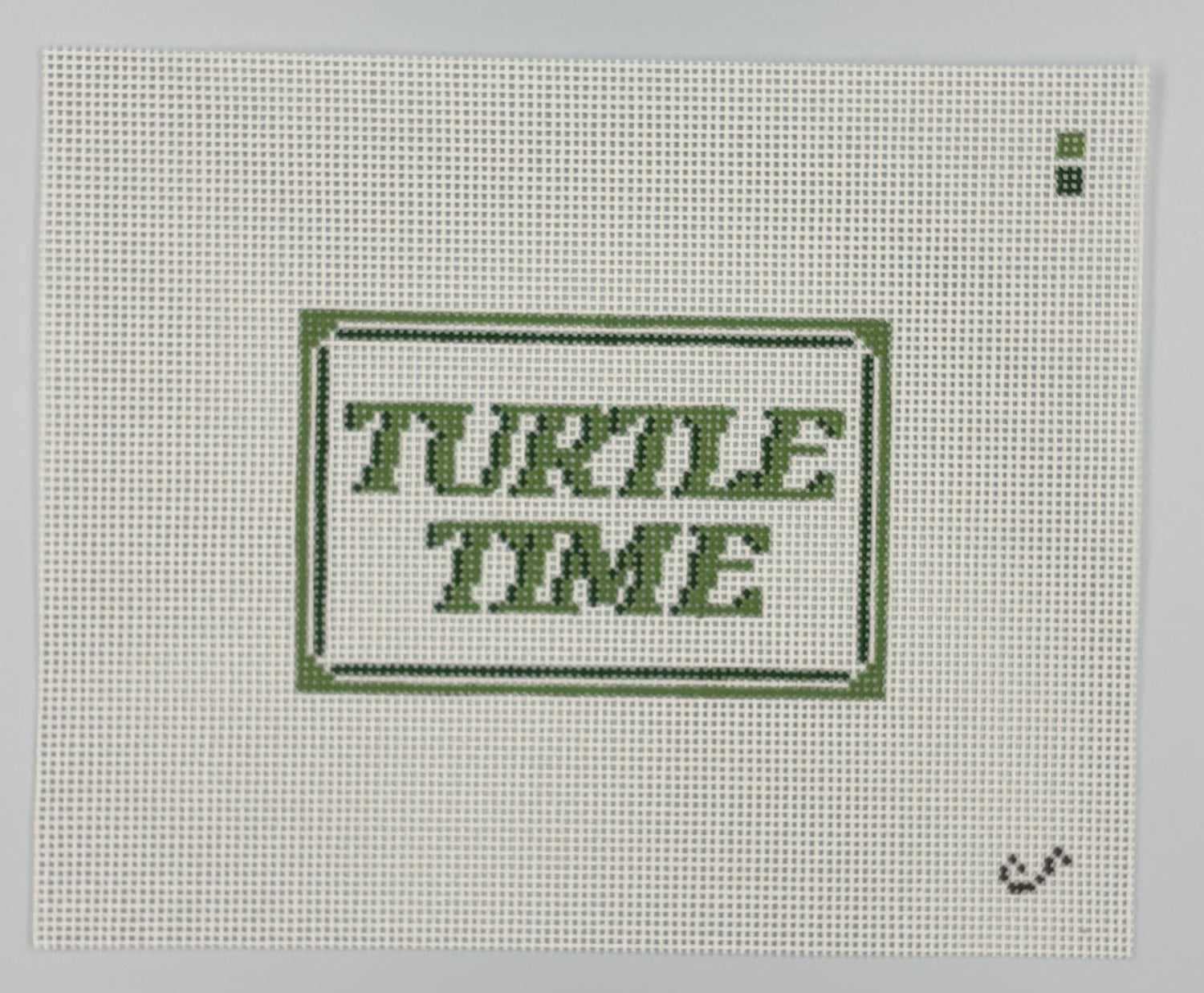 Turtle Time