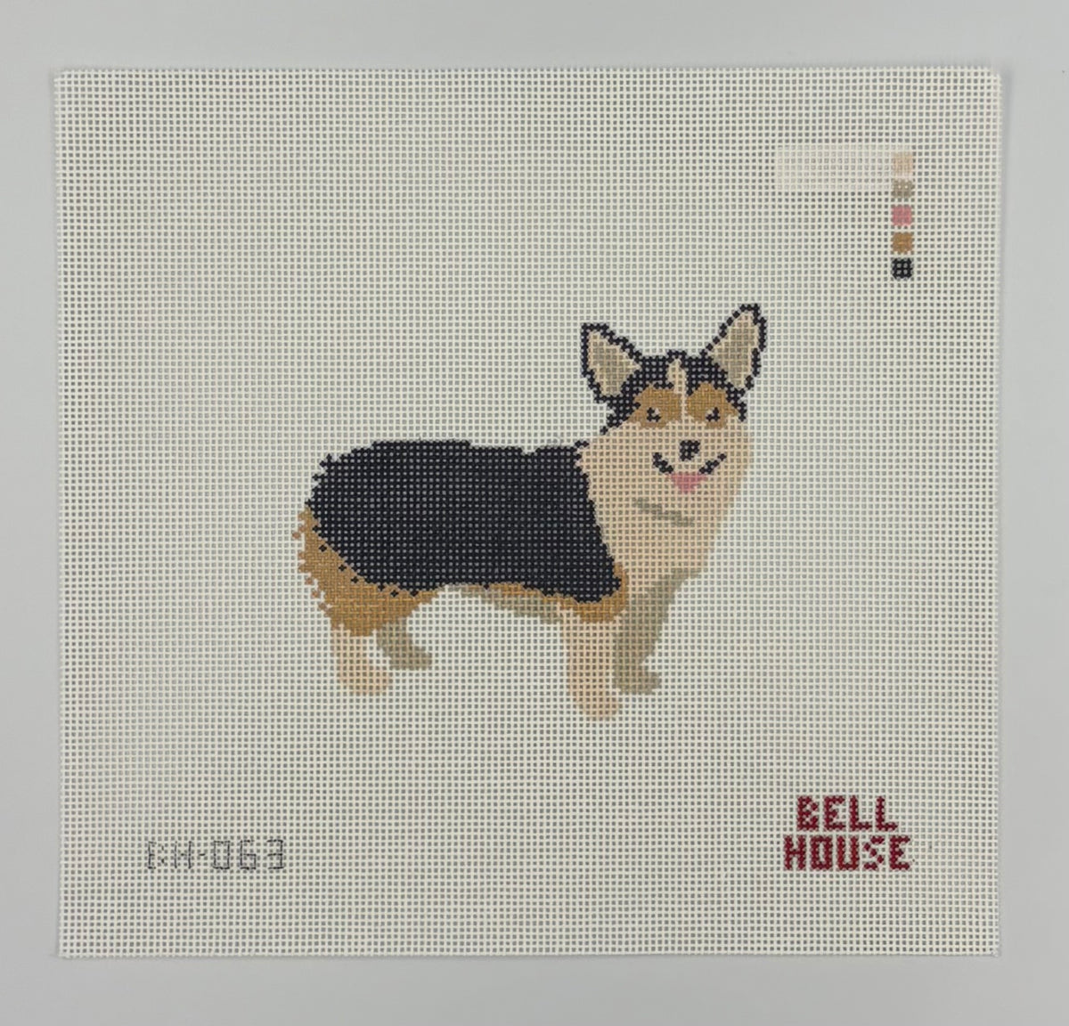 Corgi - Tricolor
