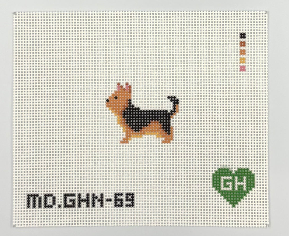 Yorkshire Terrier Mini