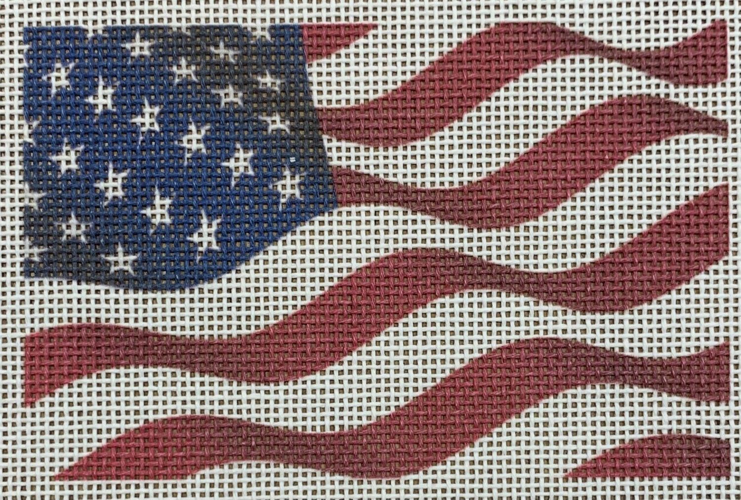 USA Flag Passport Cover Insert