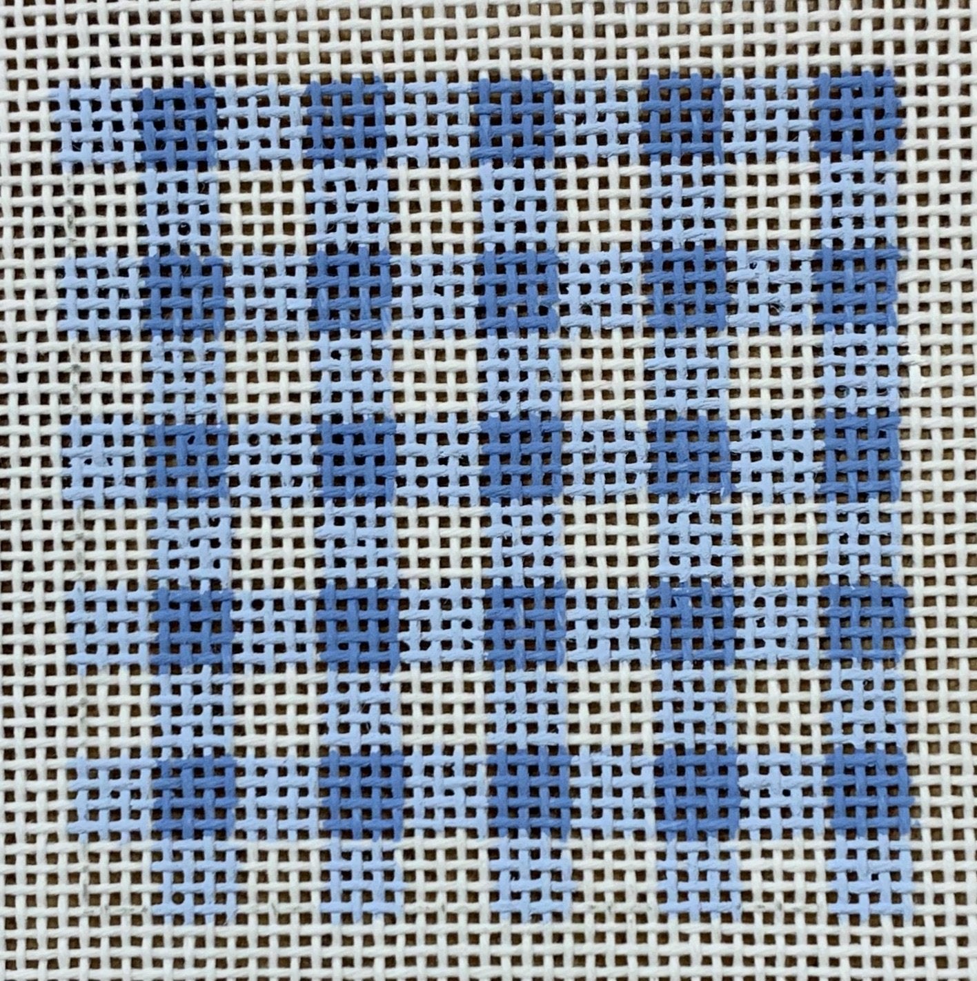 Insert for Can Cozy - Blue Gingham