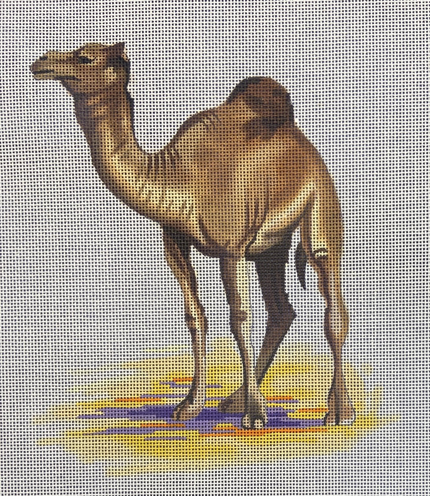 Camel