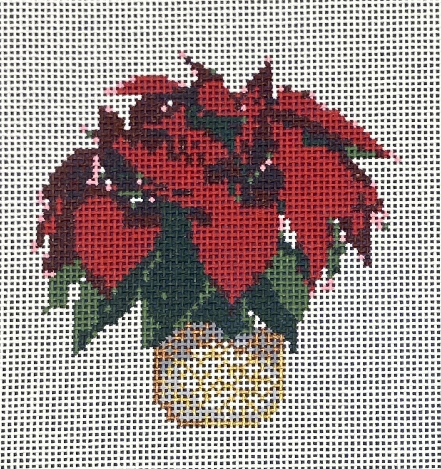 Poinsettia - Red